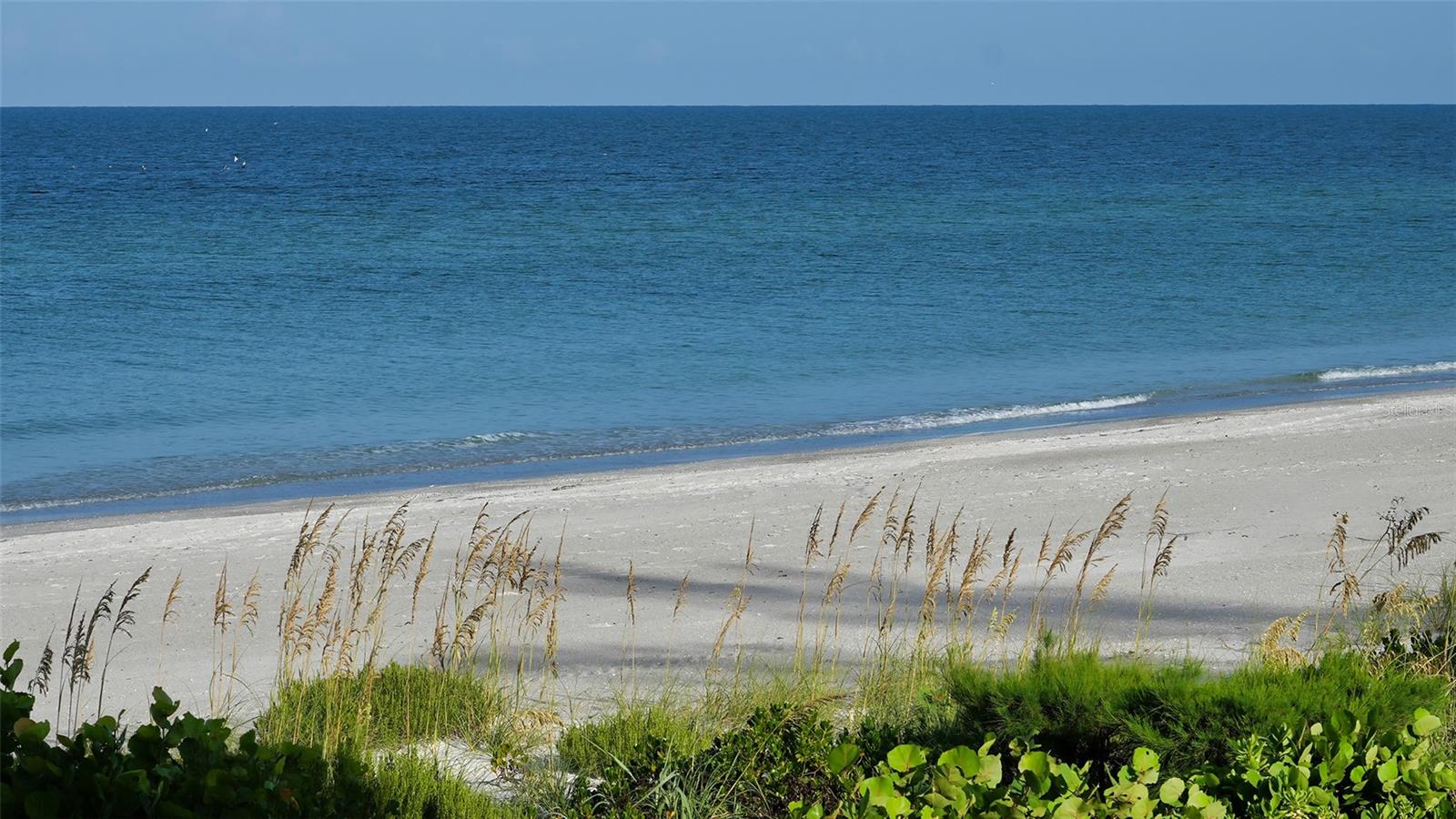 2301 GULF OF MEXICO DR #21N