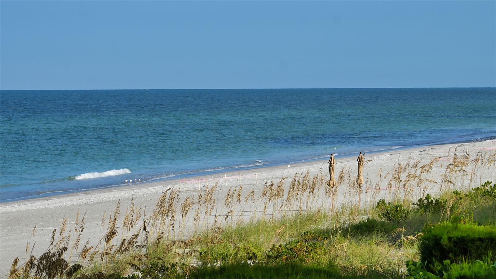 2301 GULF OF MEXICO DR #21N