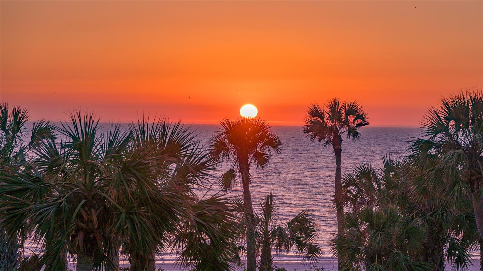 565 SANCTUARY DR #A203