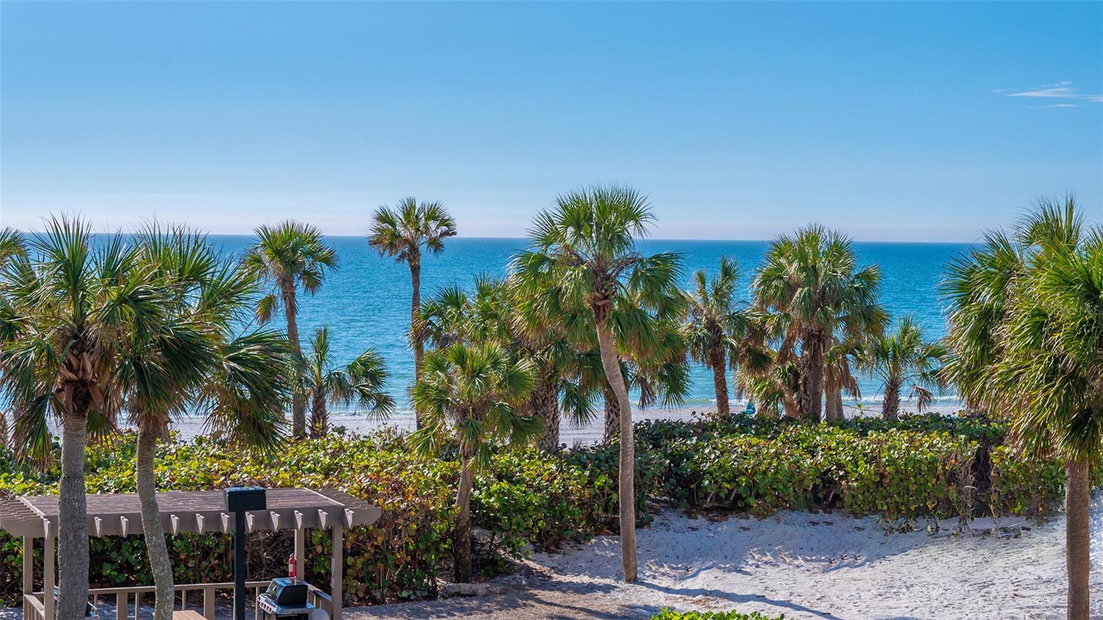 565 SANCTUARY DR #A203