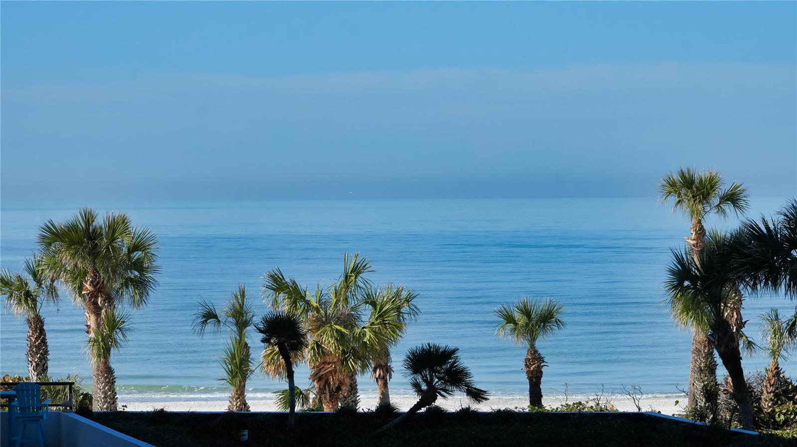 535 SANCTUARY DR #A202