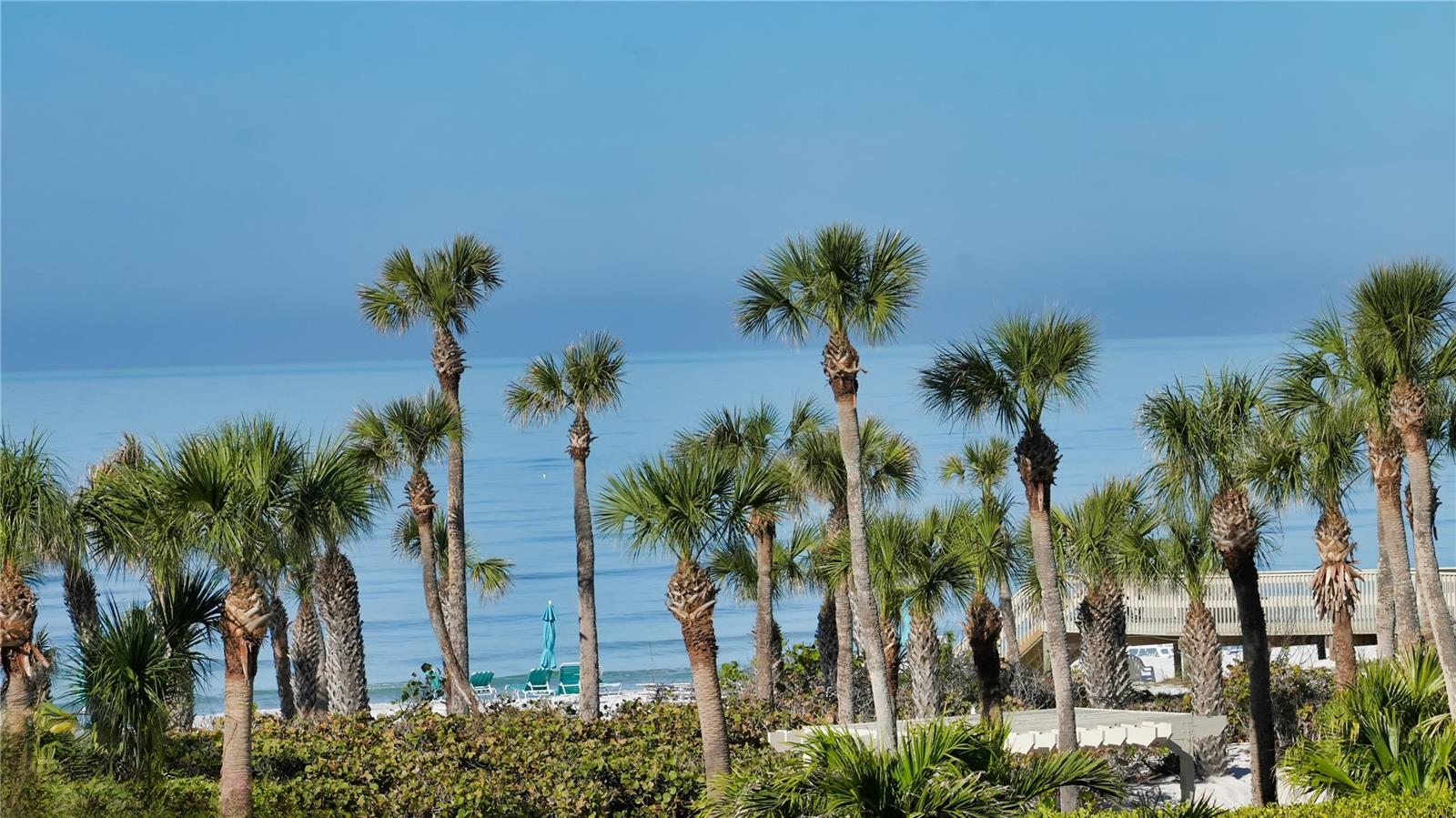 535 SANCTUARY DR #A202