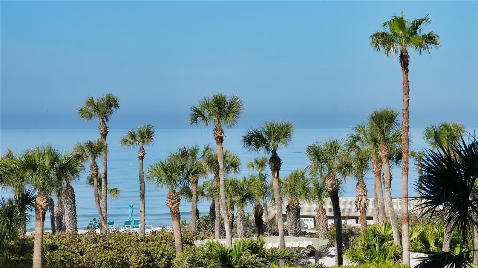 535 SANCTUARY DR #A202