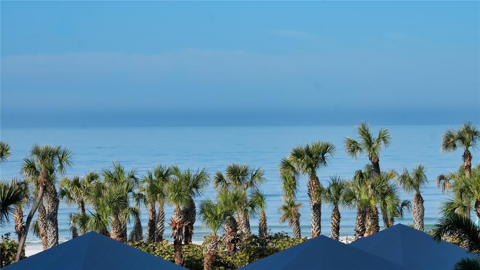 535 SANCTUARY DR #A202