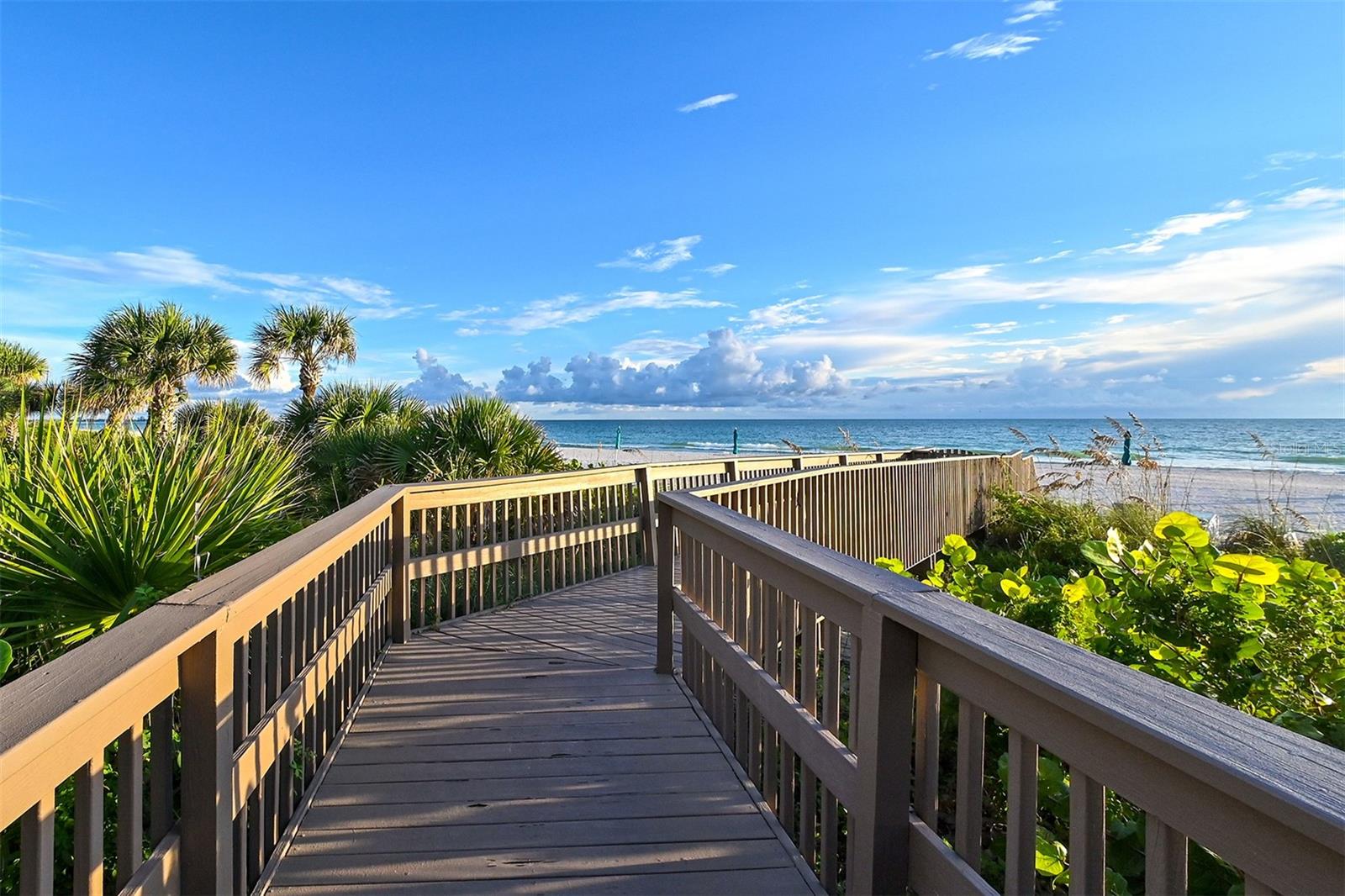 535 SANCTUARY DR #A202