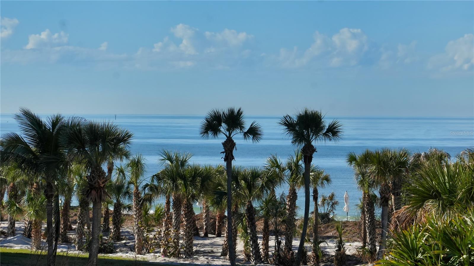 535 SANCTUARY DR #A202