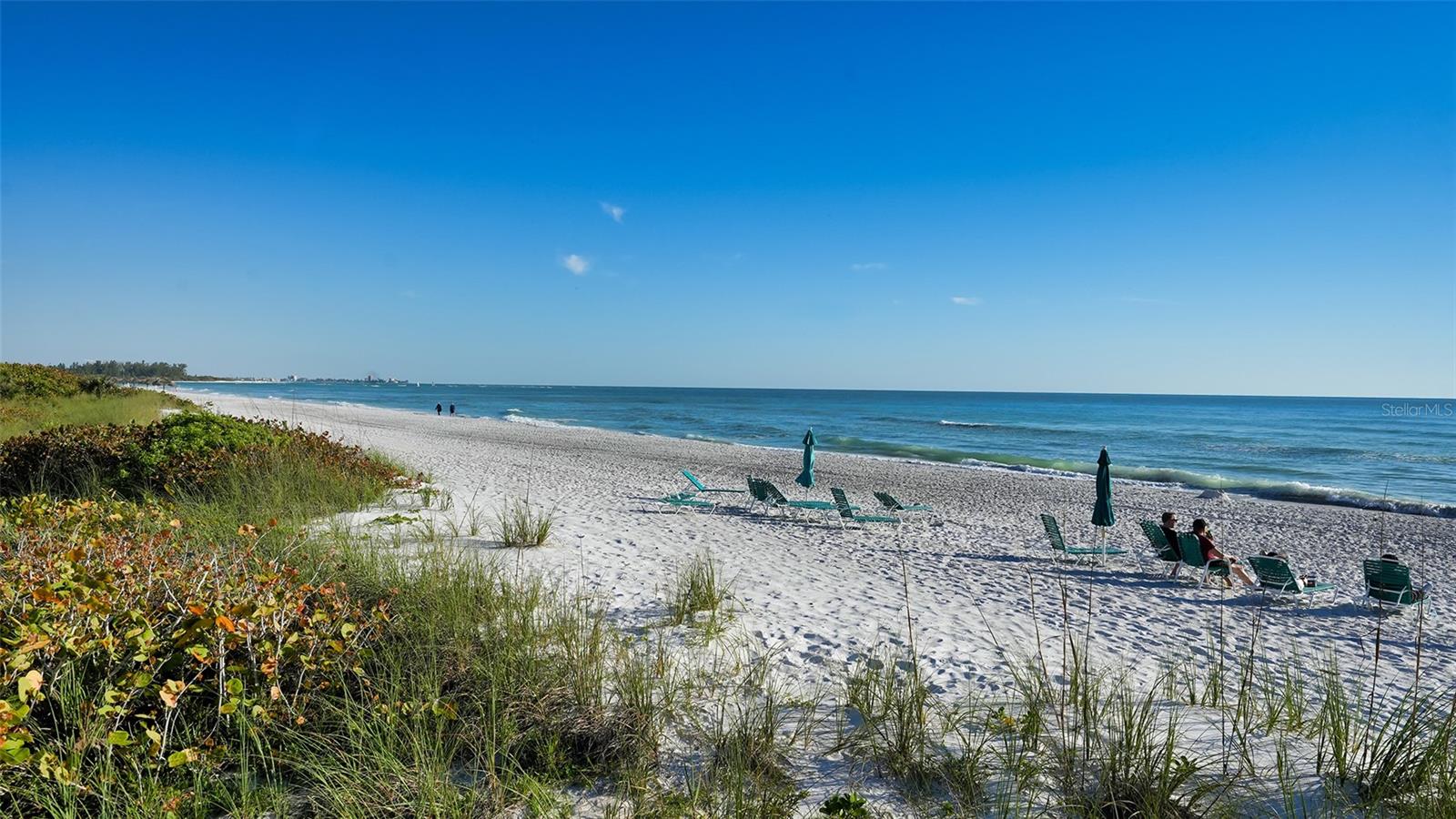 535 SANCTUARY DR #A202