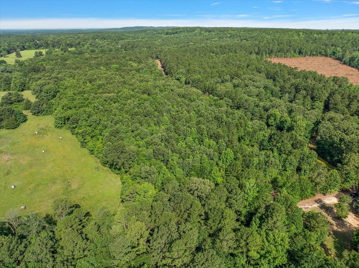 275 County Road 1720