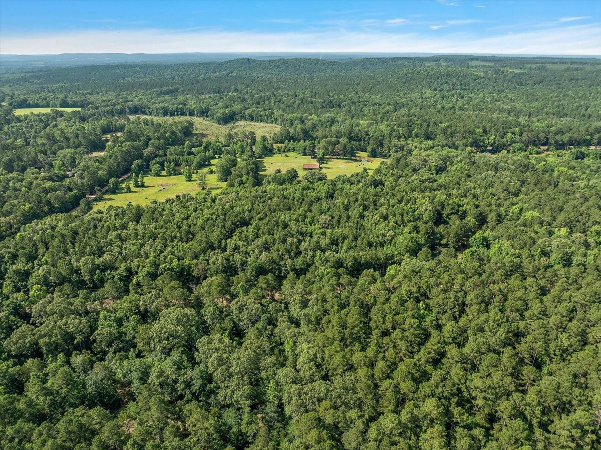 275 County Road 1720