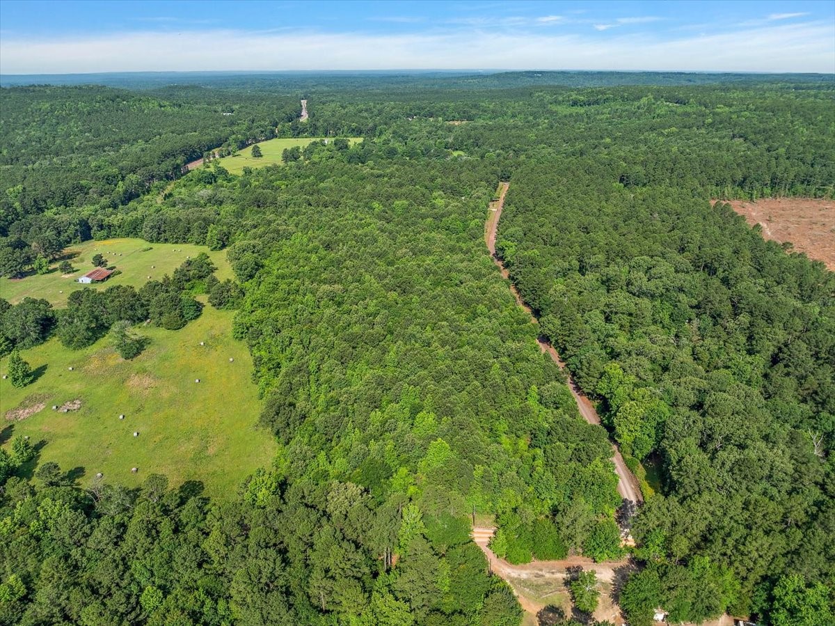 275 County Road 1720