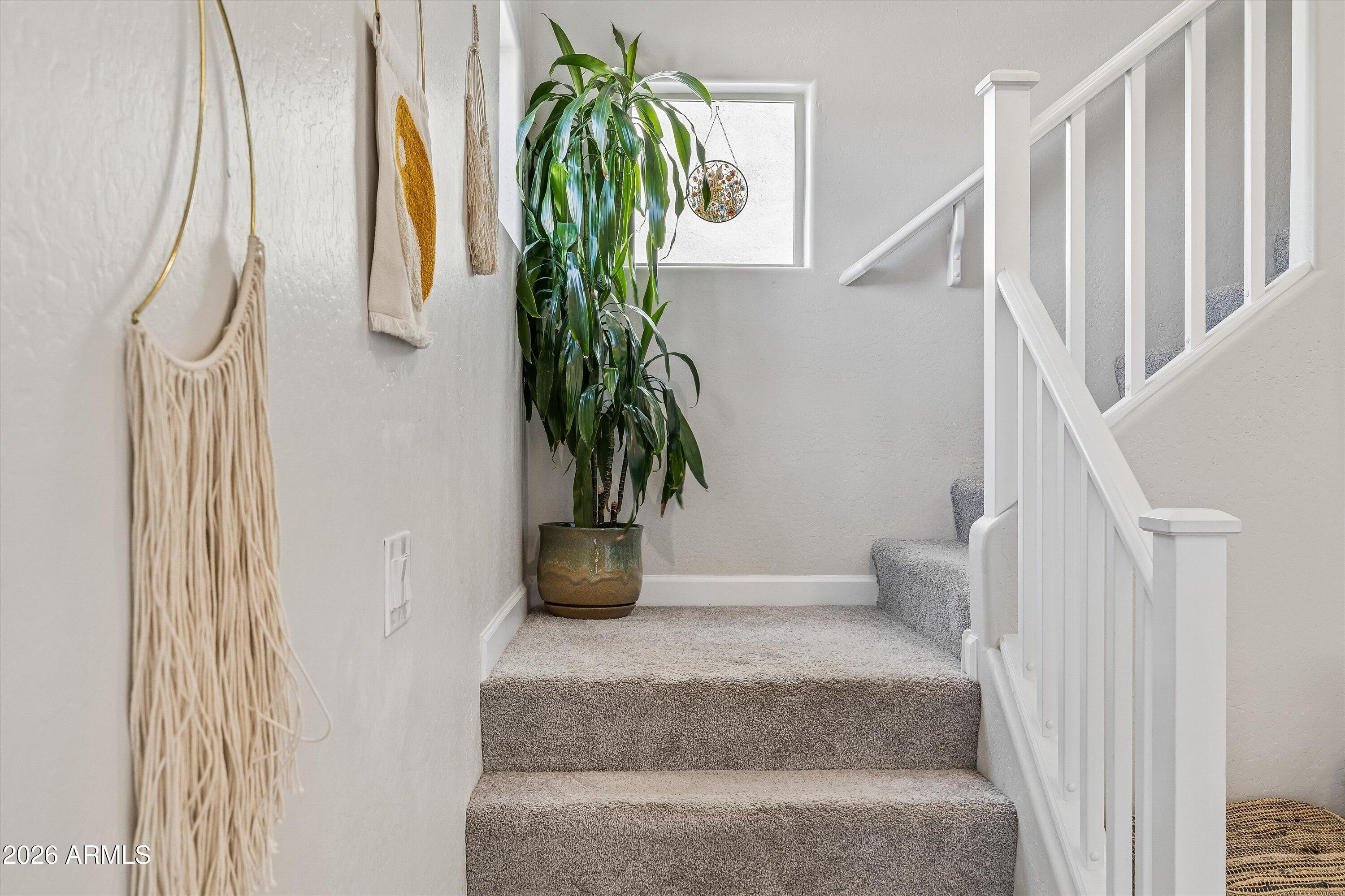 Carpeted staircase with a white railing and a large potted plant on the landing.