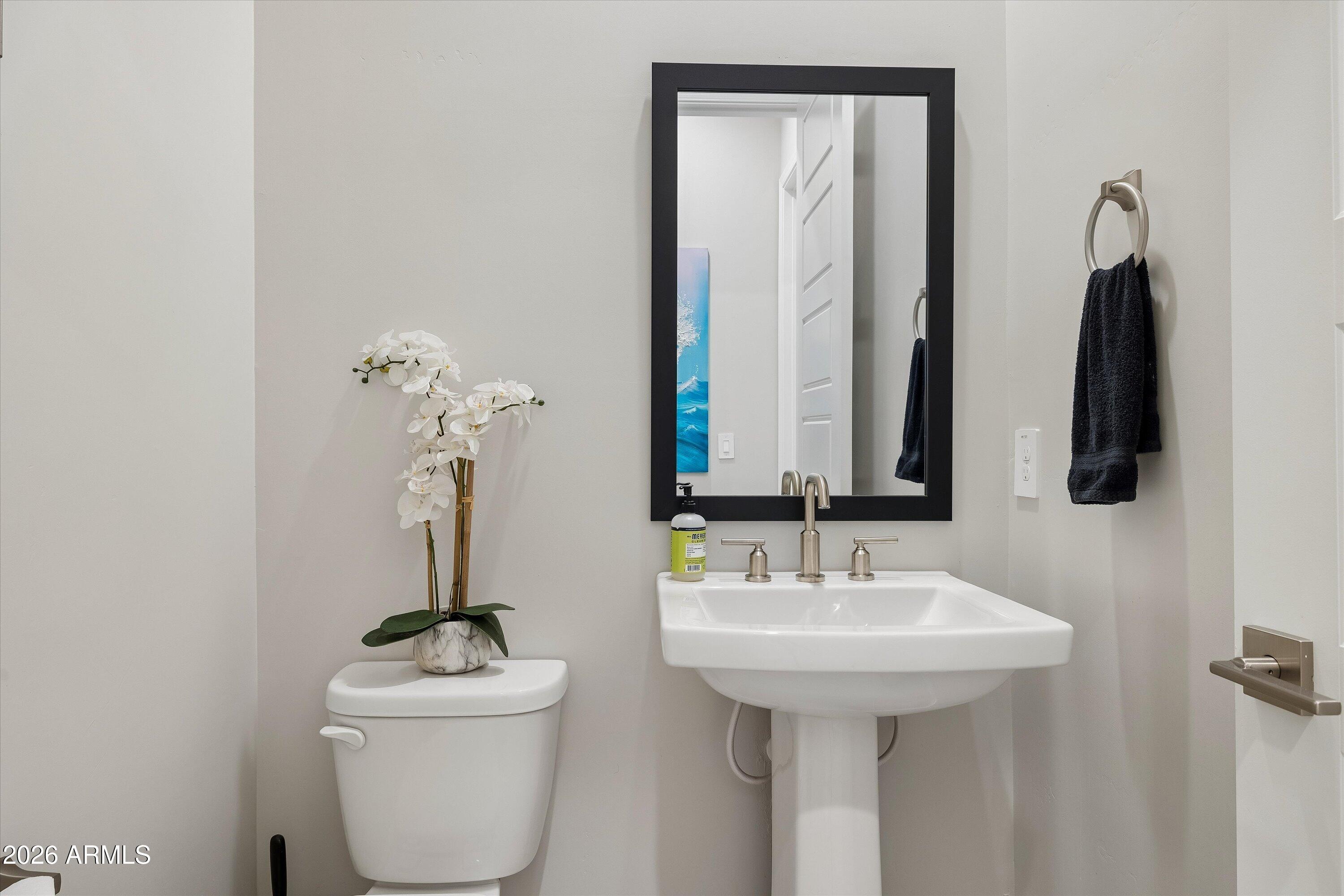 Bathroom with a white pedestal sink, black-framed mirror, and orchid on the toilet.