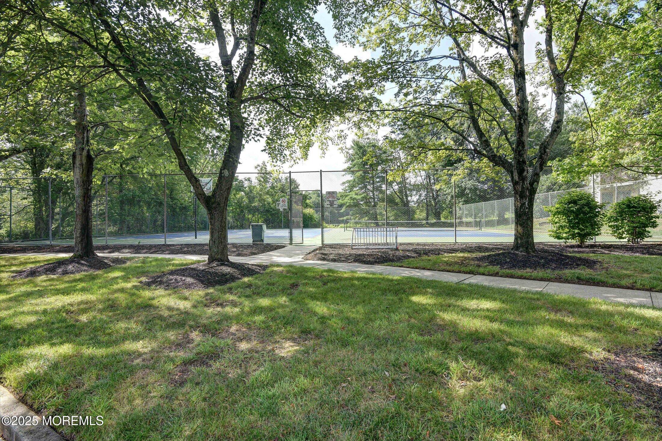 41 Lindsay Court, 8