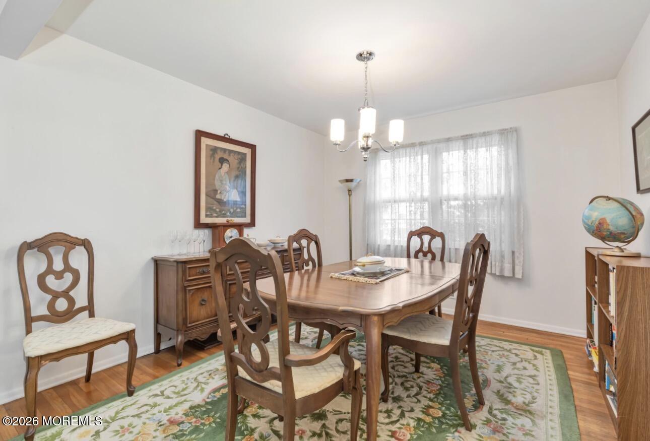 39 Koster Drive