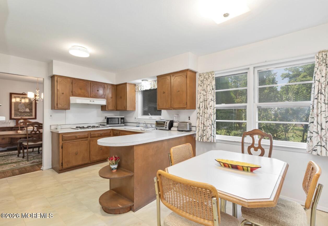 39 Koster Drive
