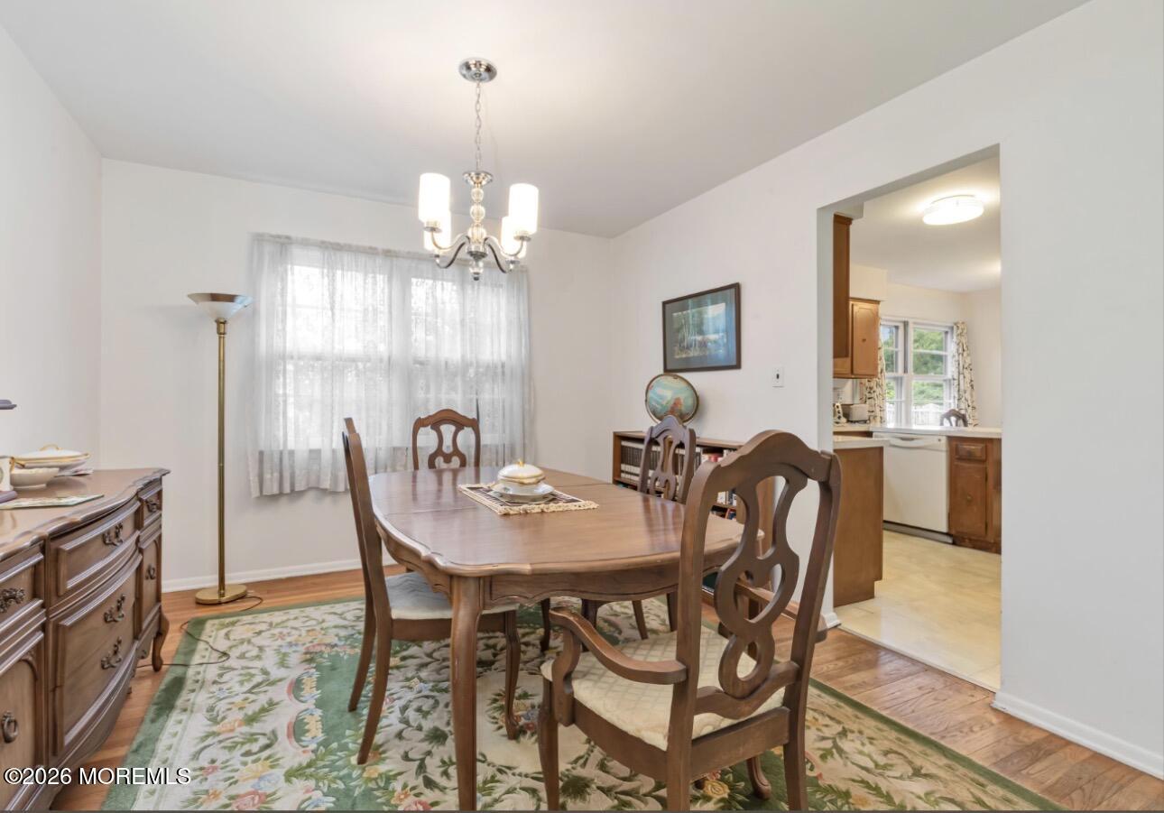 39 Koster Drive