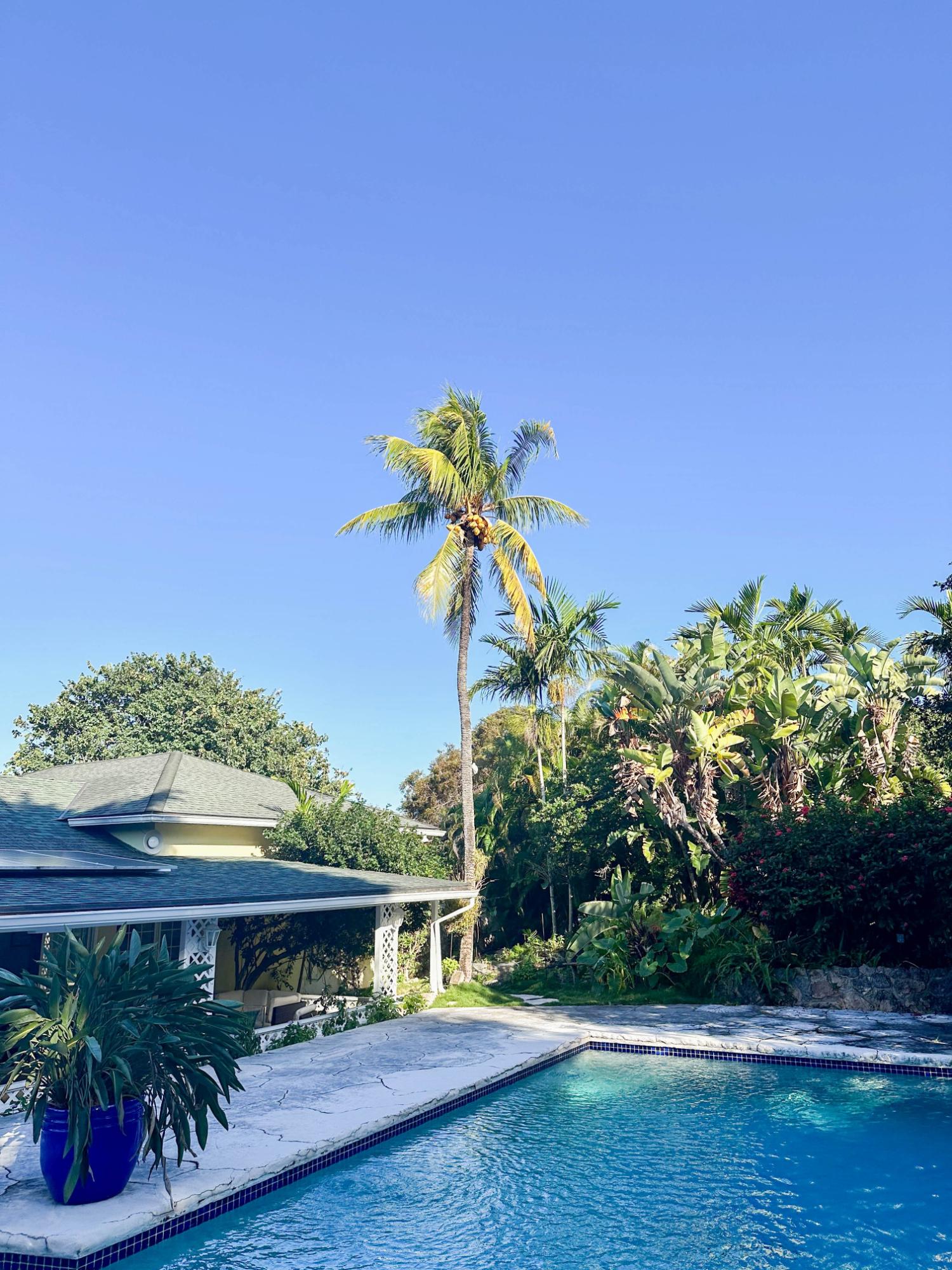 SKYLINE HEIGHTS RENTAL