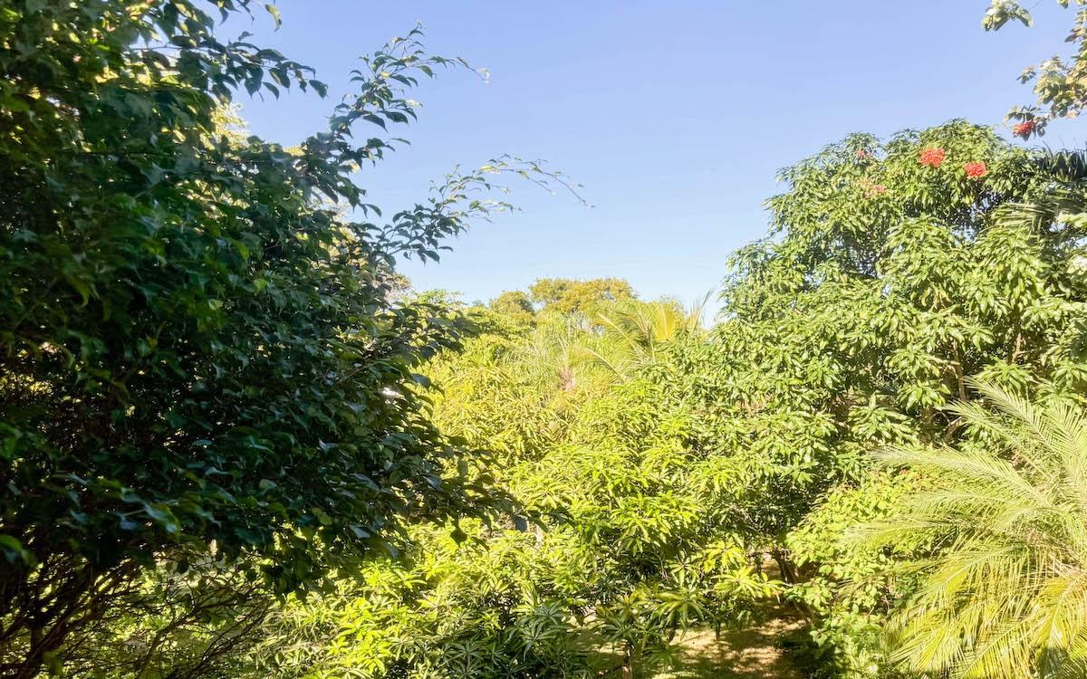 SKYLINE HEIGHTS RENTAL