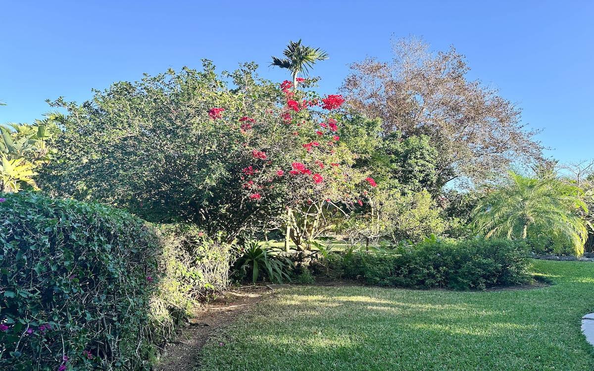 SKYLINE HEIGHTS RENTAL