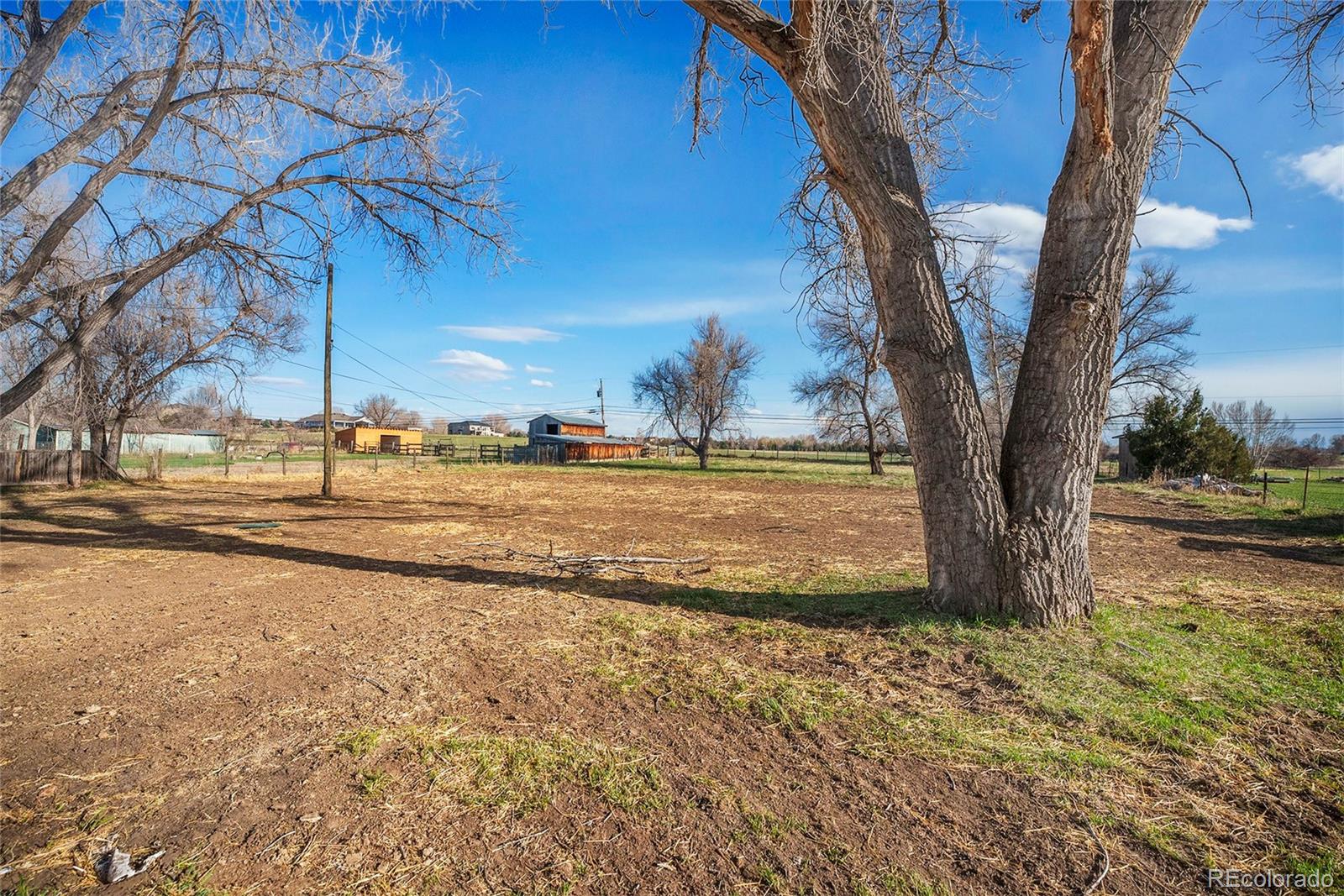 11234 Flatiron Drive