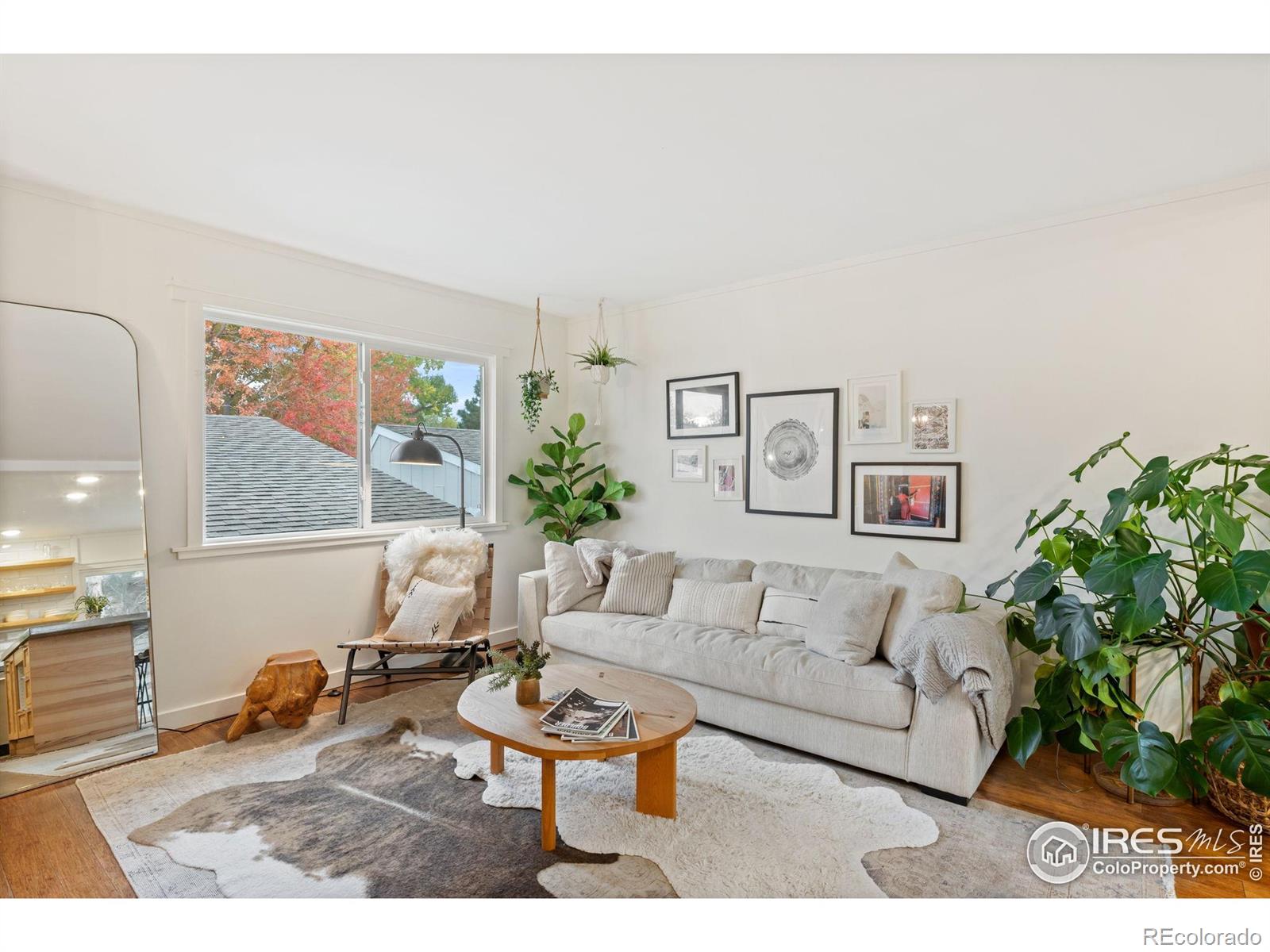 5411 White Place
