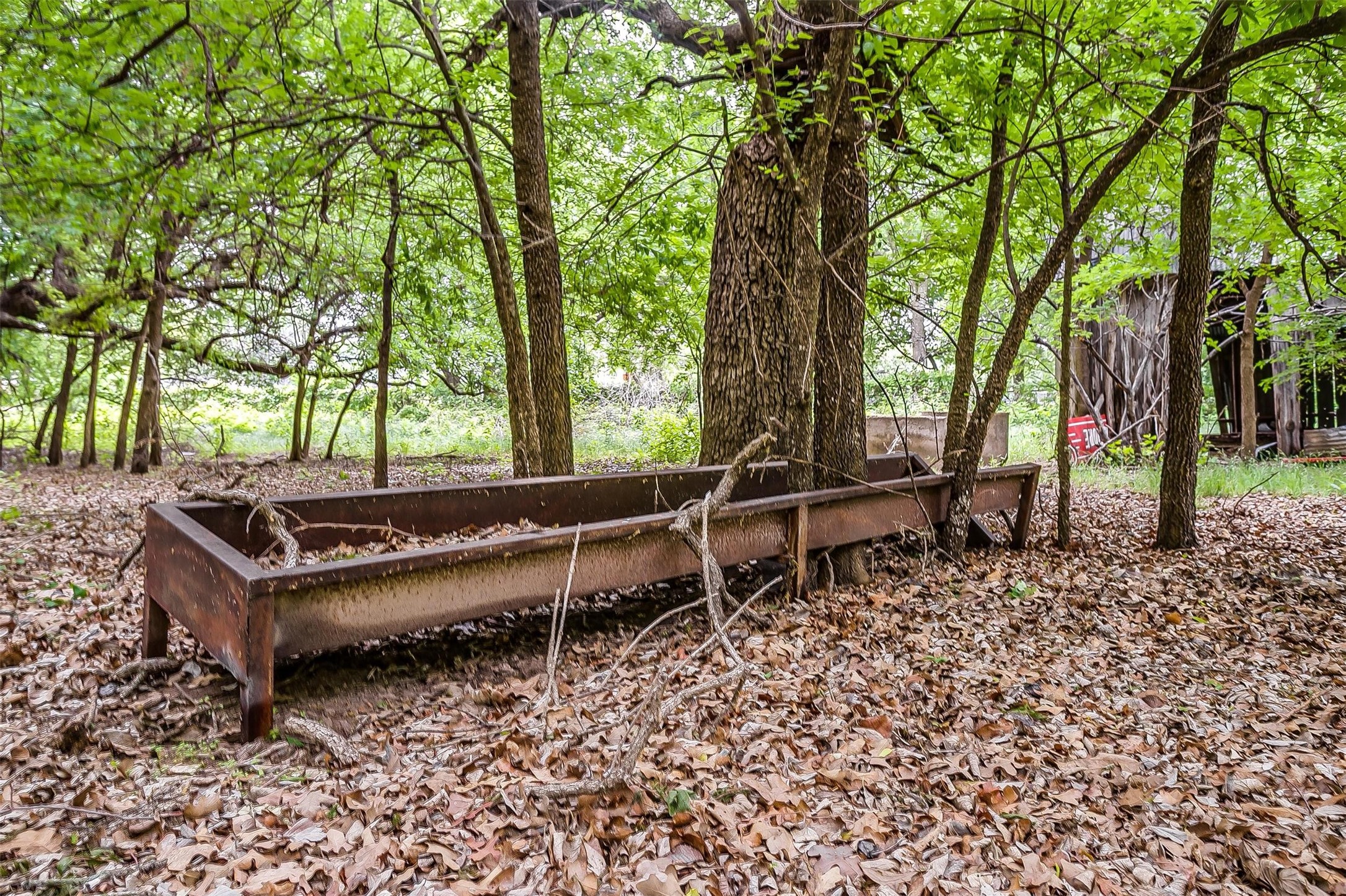 13 Ava Lane
