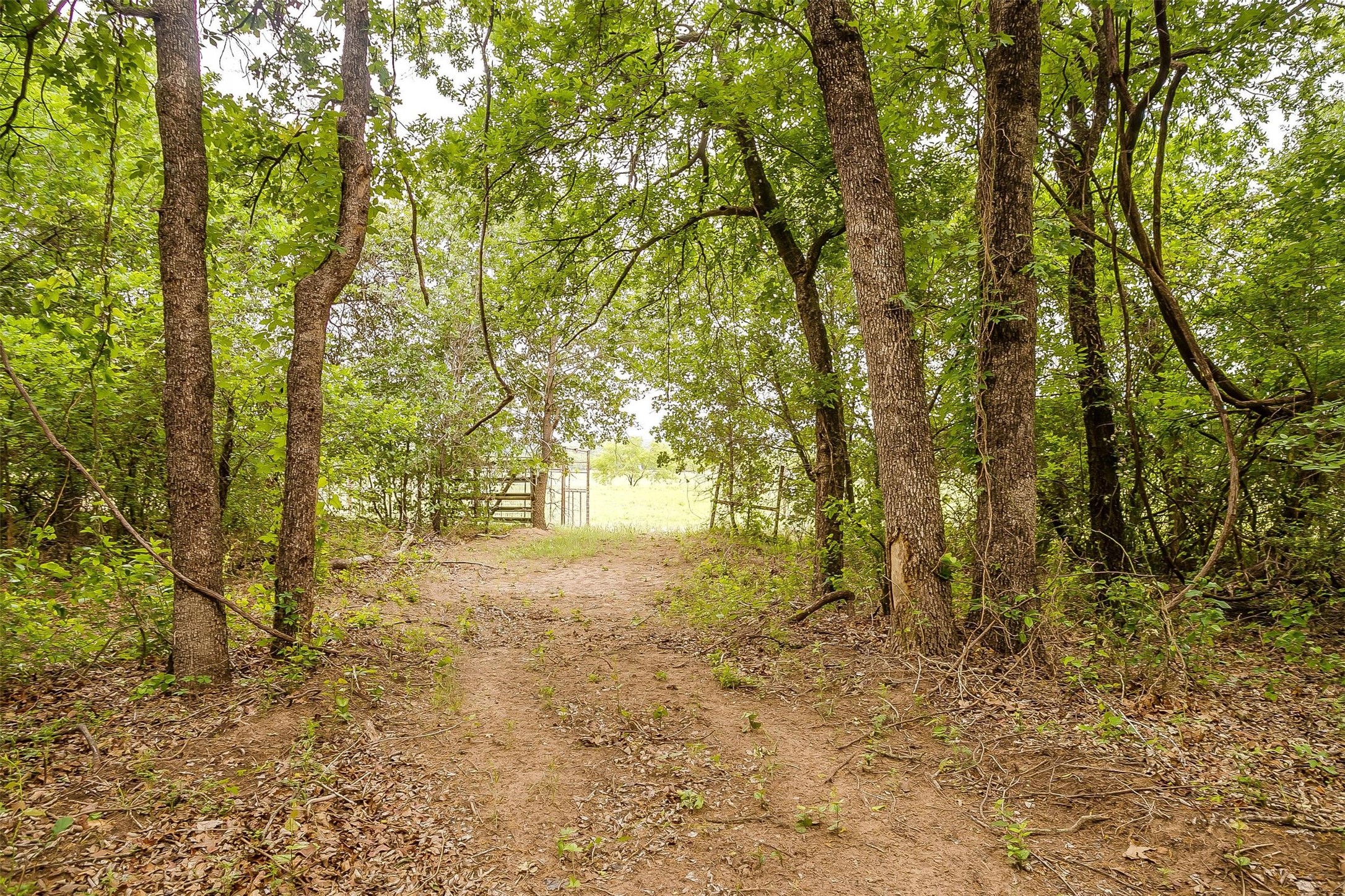 9 Ava Lane