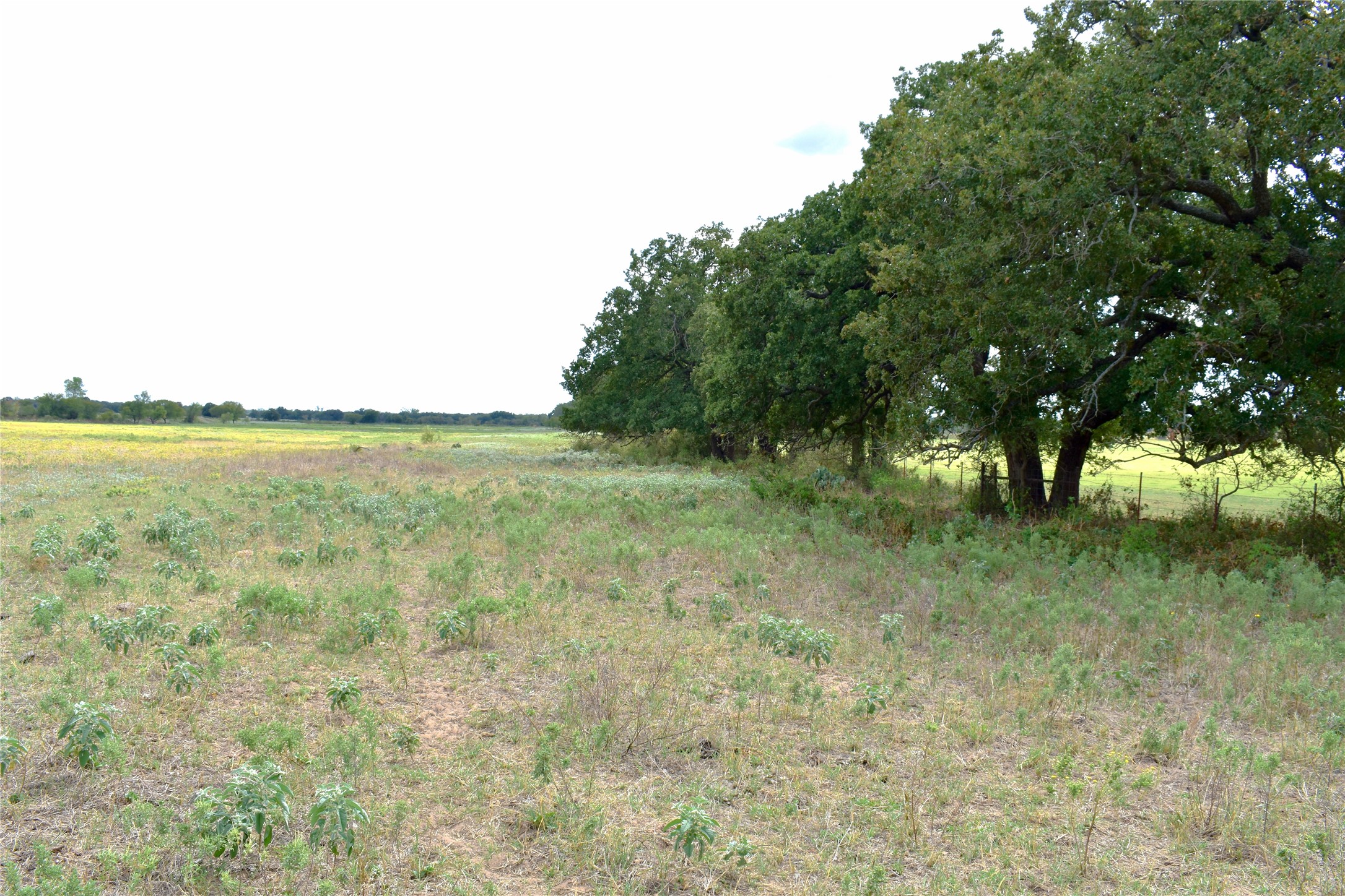 TBD HWY 6 W