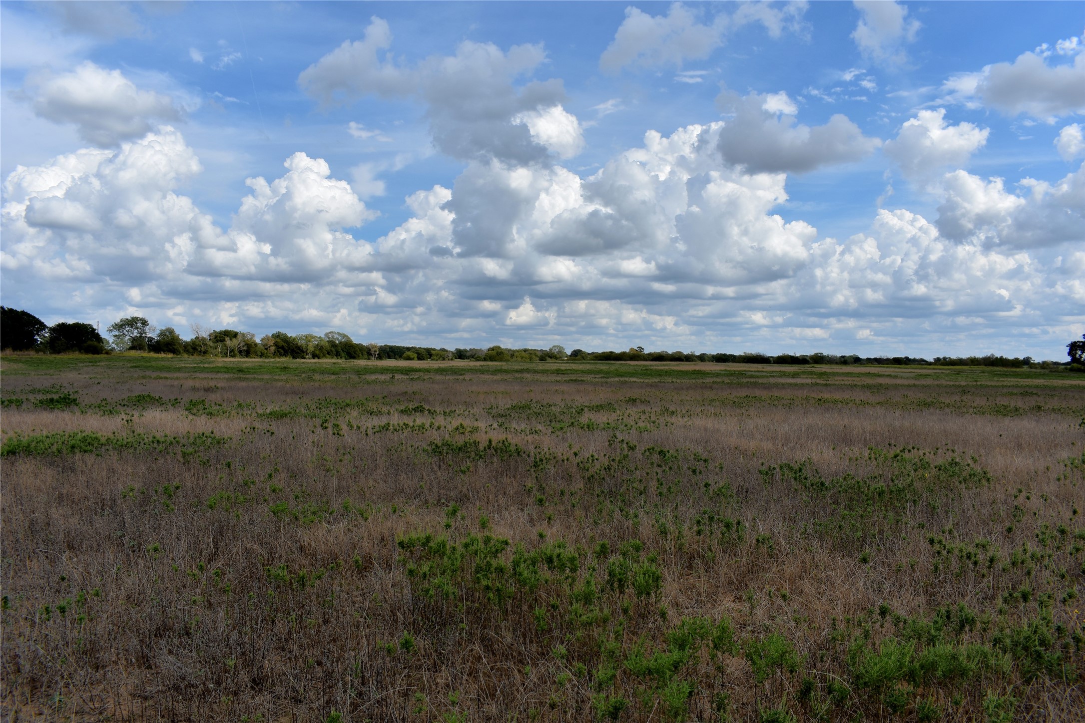 TBD HWY 6 W