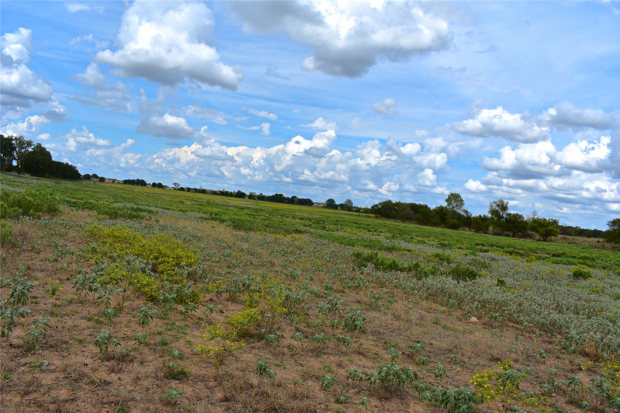 TBD HWY 6 W