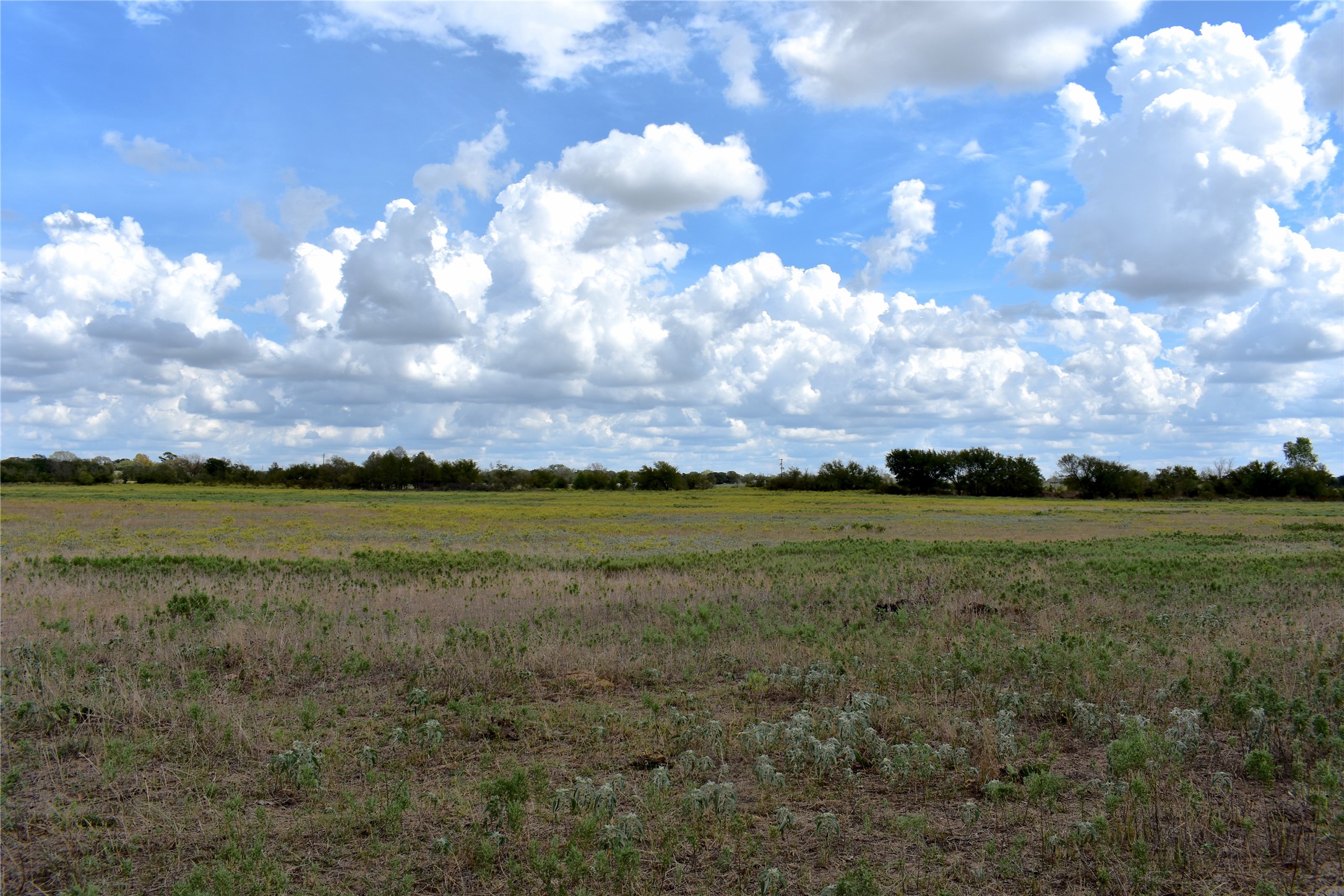 TBD HWY 6 W