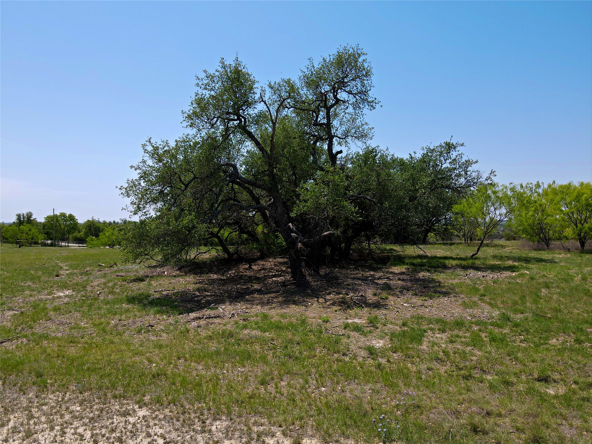 8 Buffalo Ridge Drive