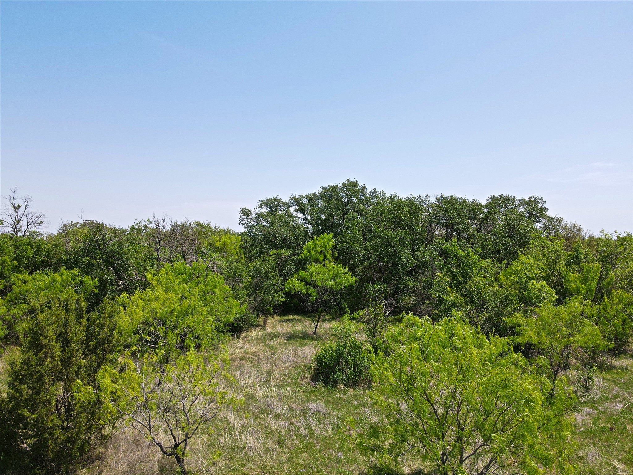8 Buffalo Ridge Drive