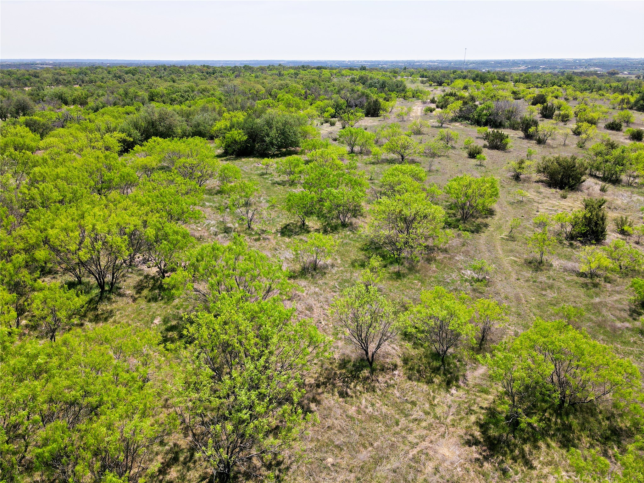8 Buffalo Ridge Drive