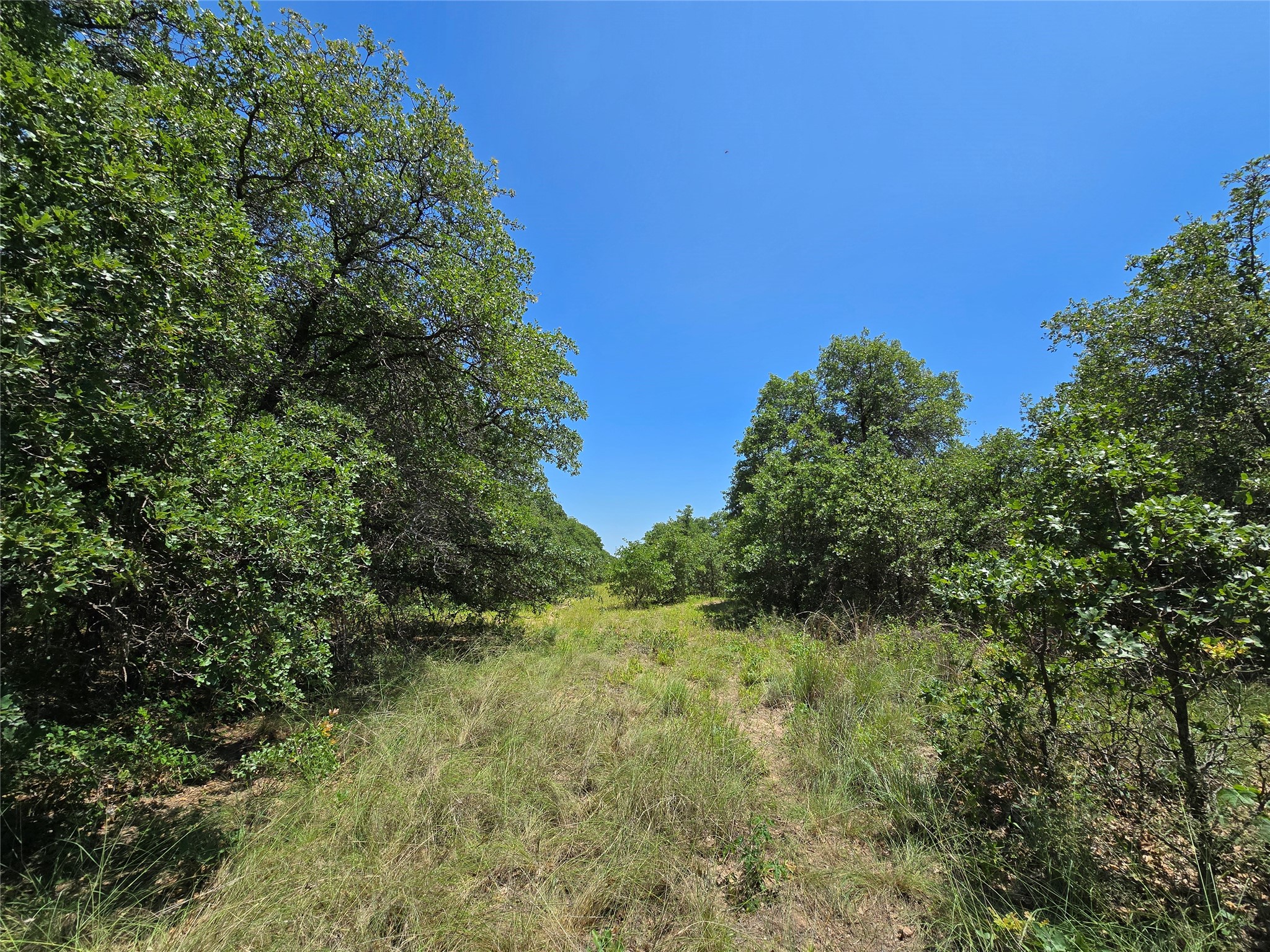 1750 County Road 173