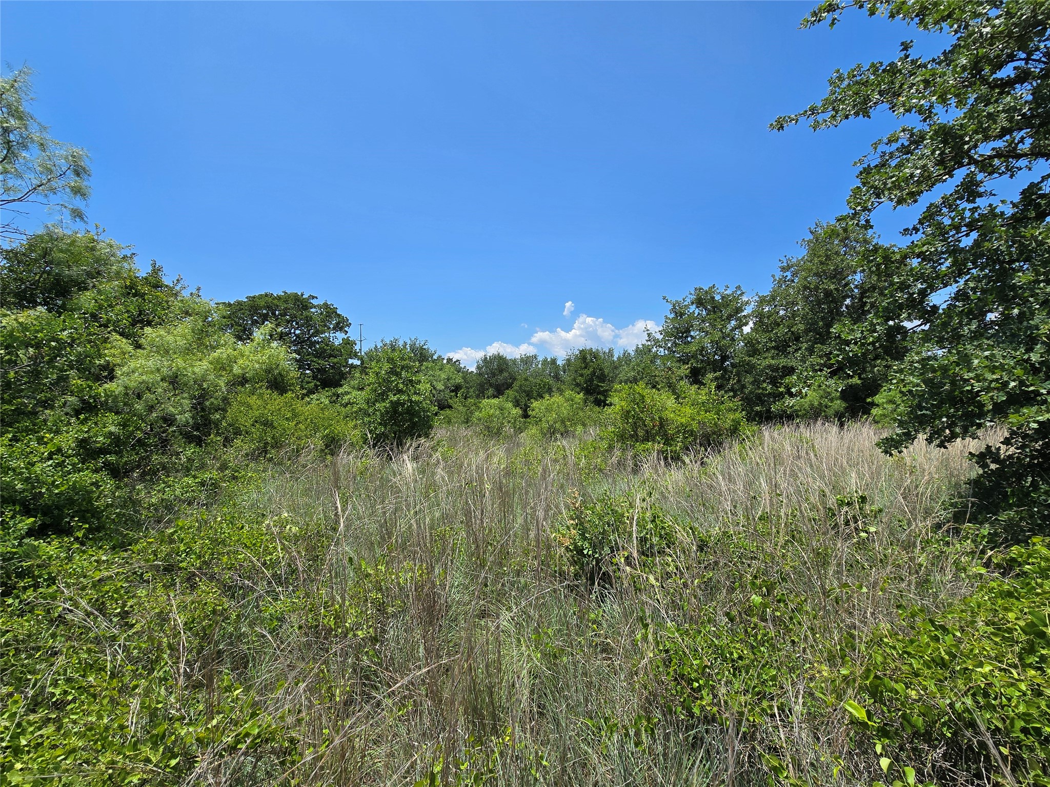 1750 County Road 173