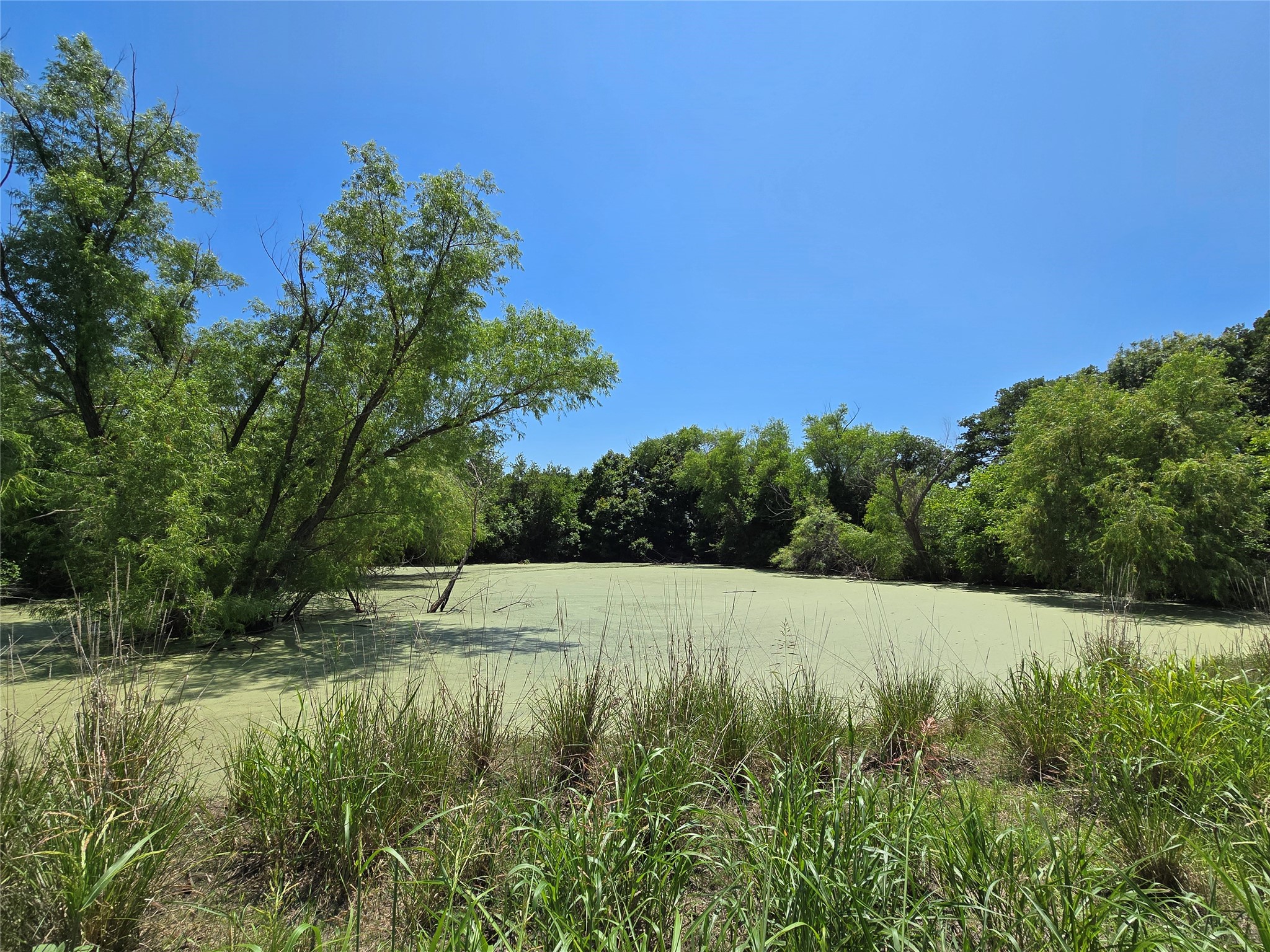 1750 County Road 173