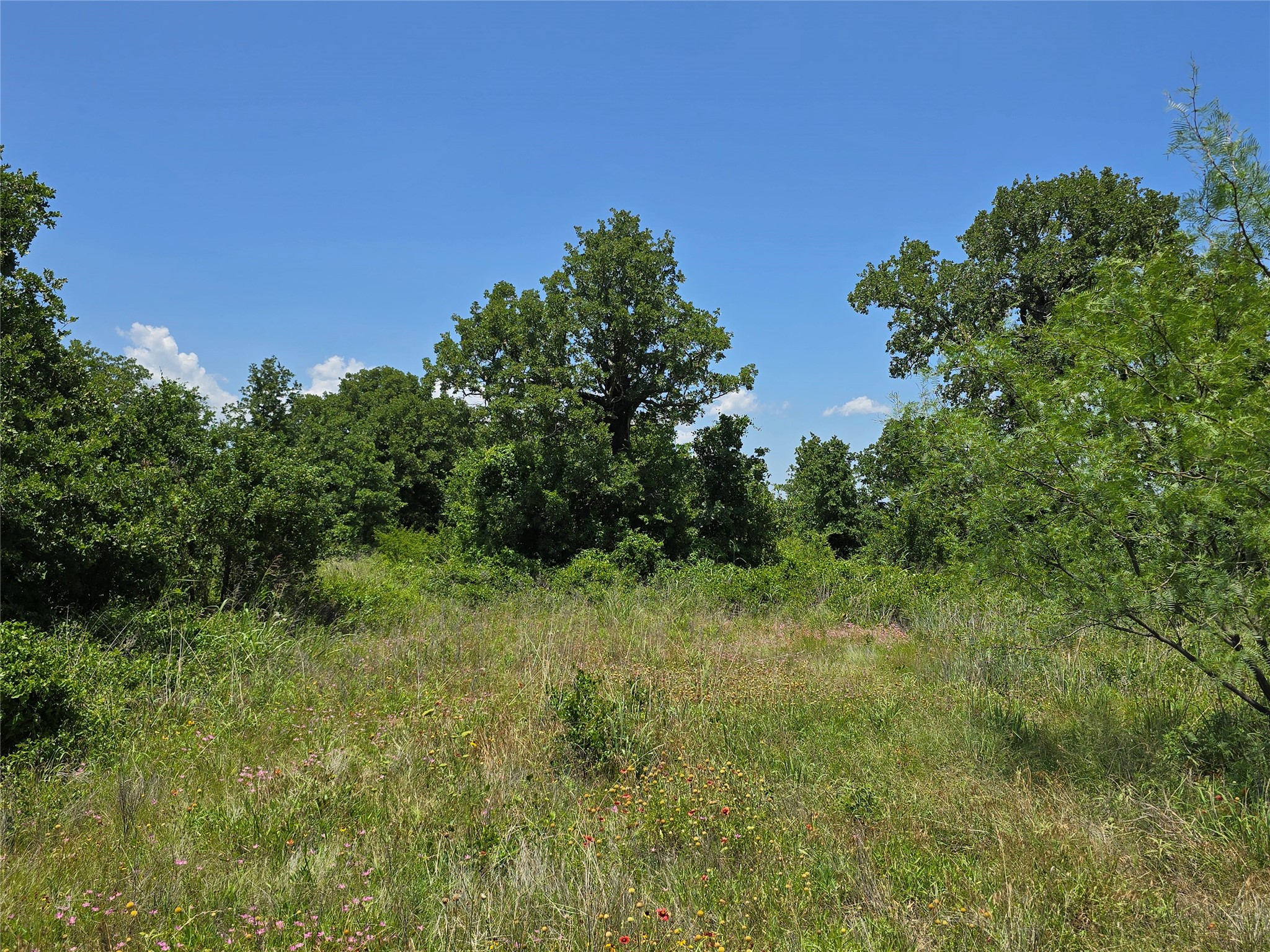 1750 County Road 173