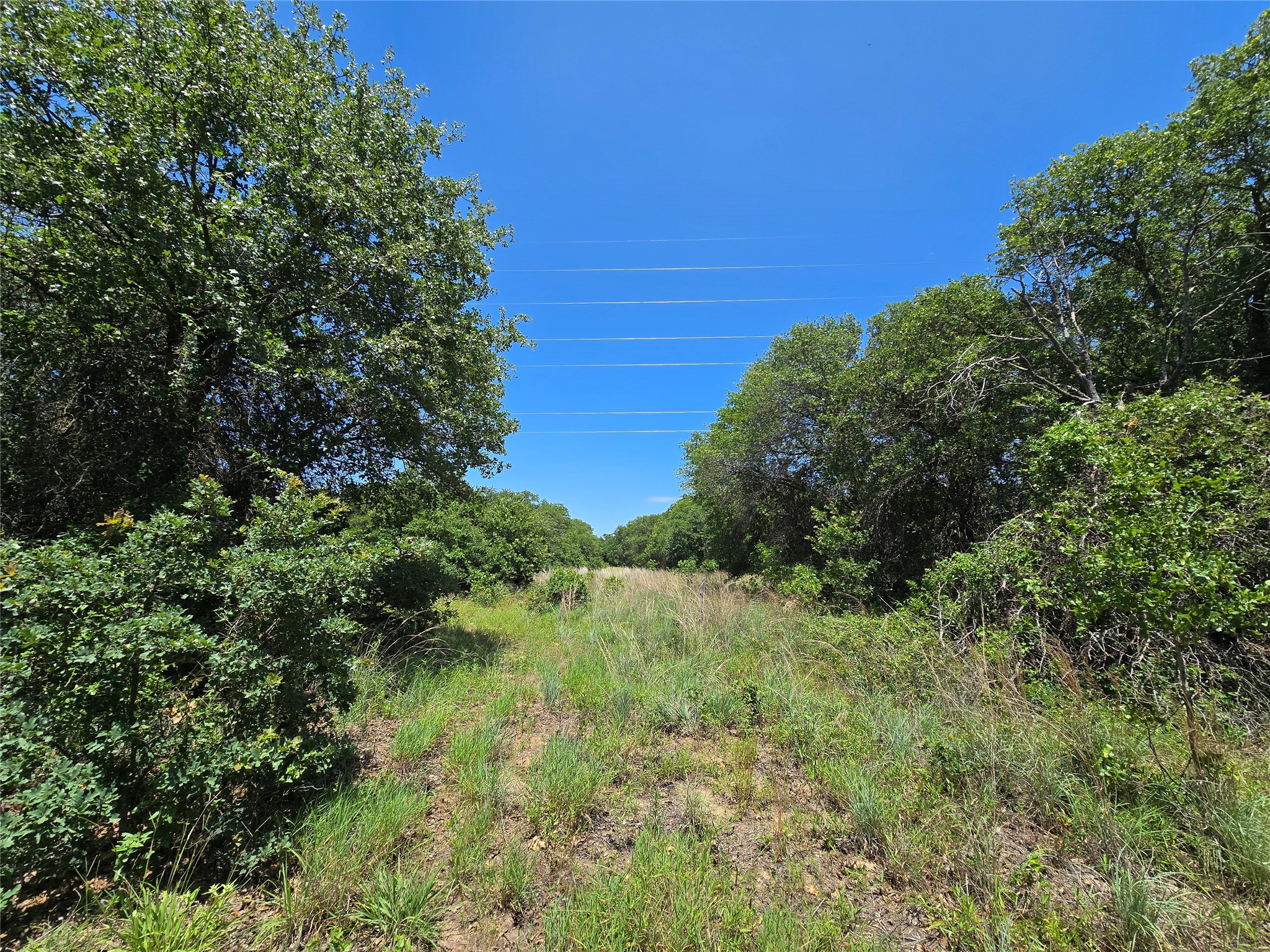 1750 County Road 173