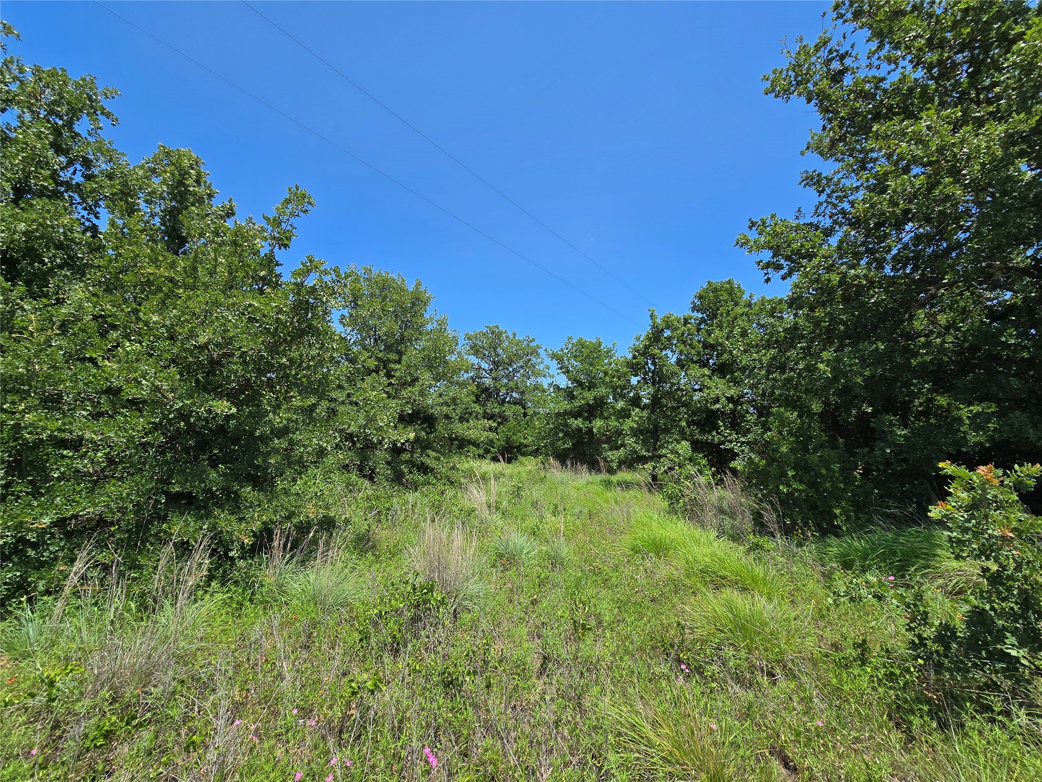 1750 County Road 173