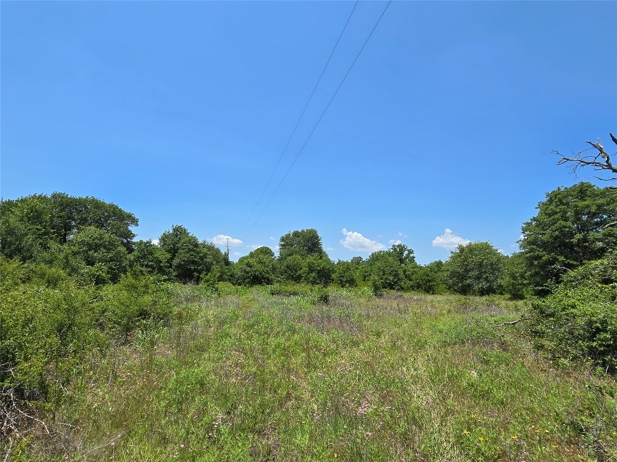 1750 County Road 173