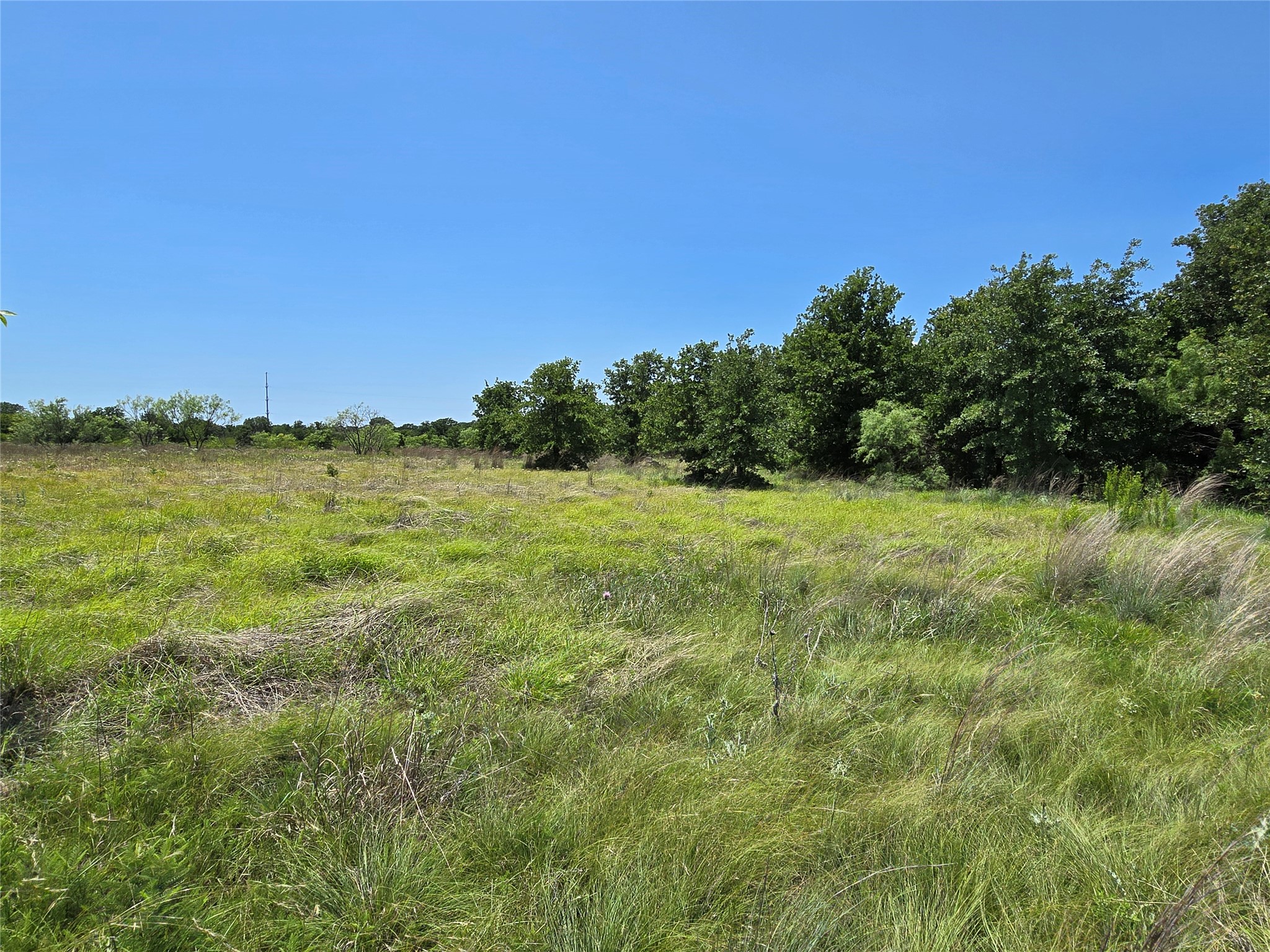 1750 County Road 173