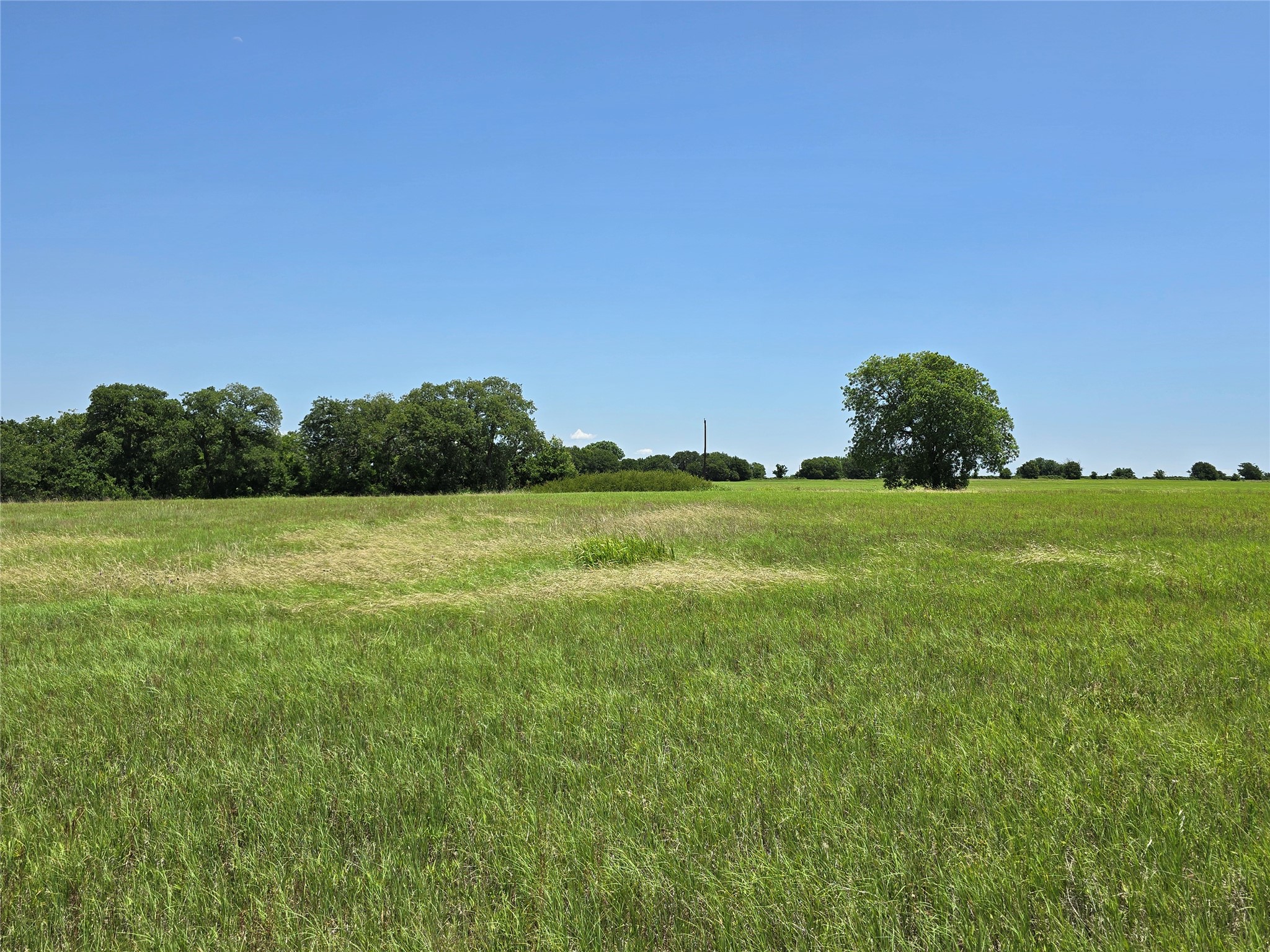 1750 County Road 173