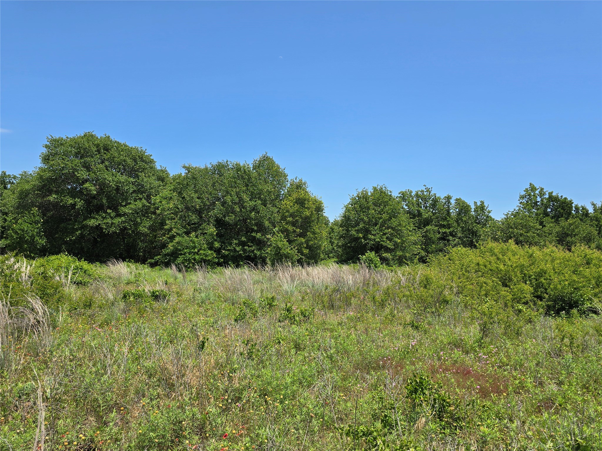 1750 County Road 173