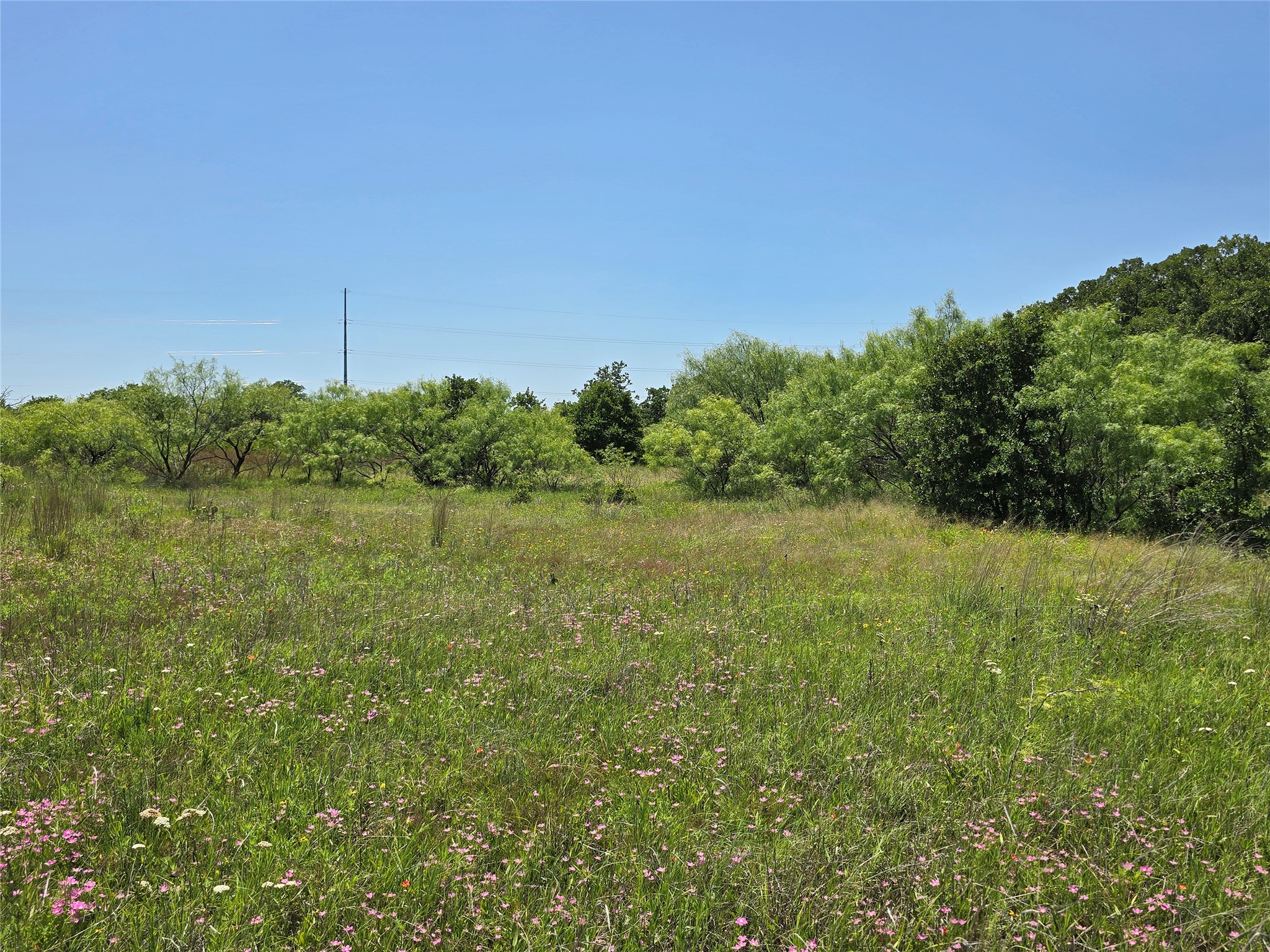 1750 County Road 173