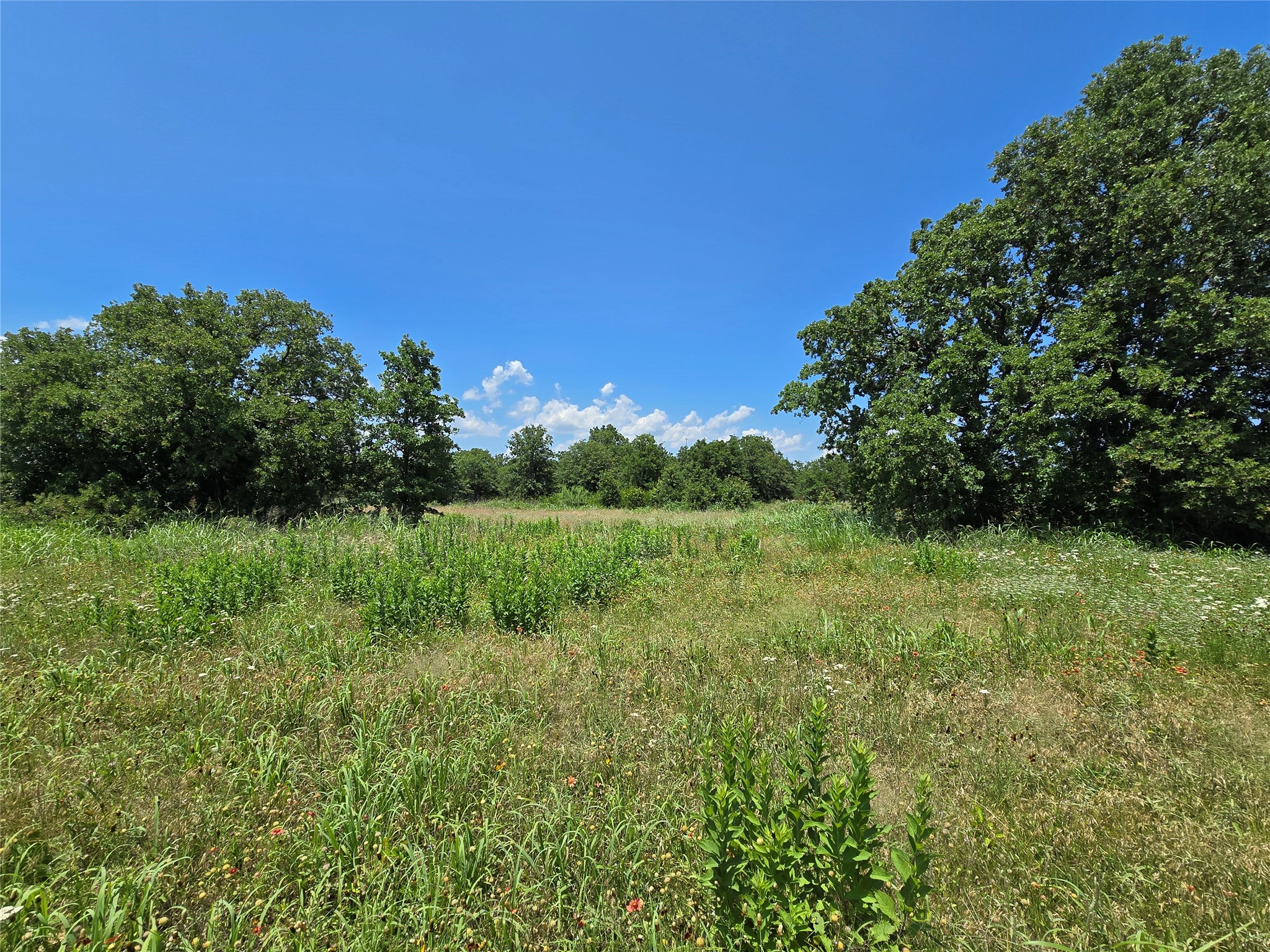 1750 County Road 173