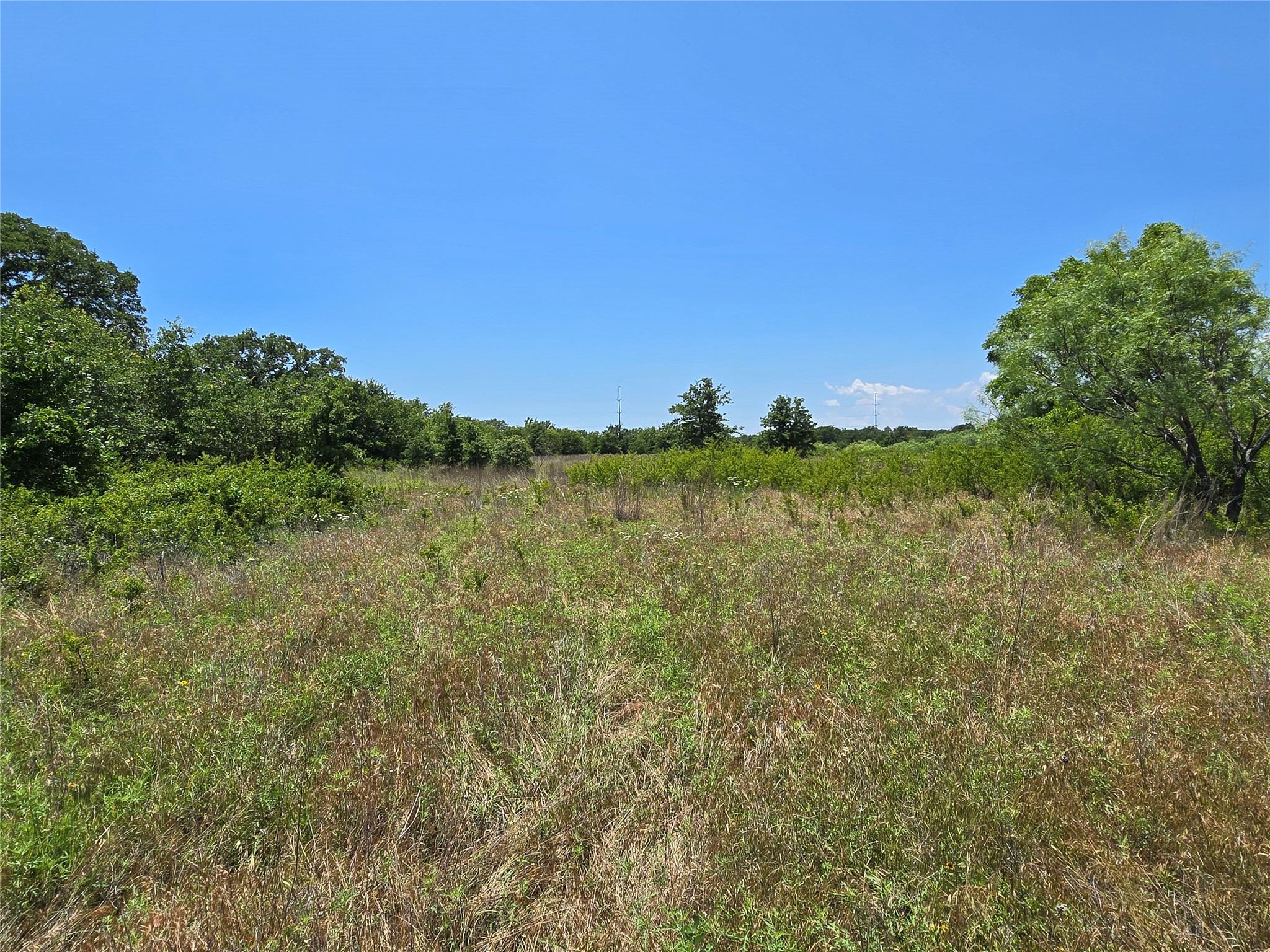 1750 County Road 173