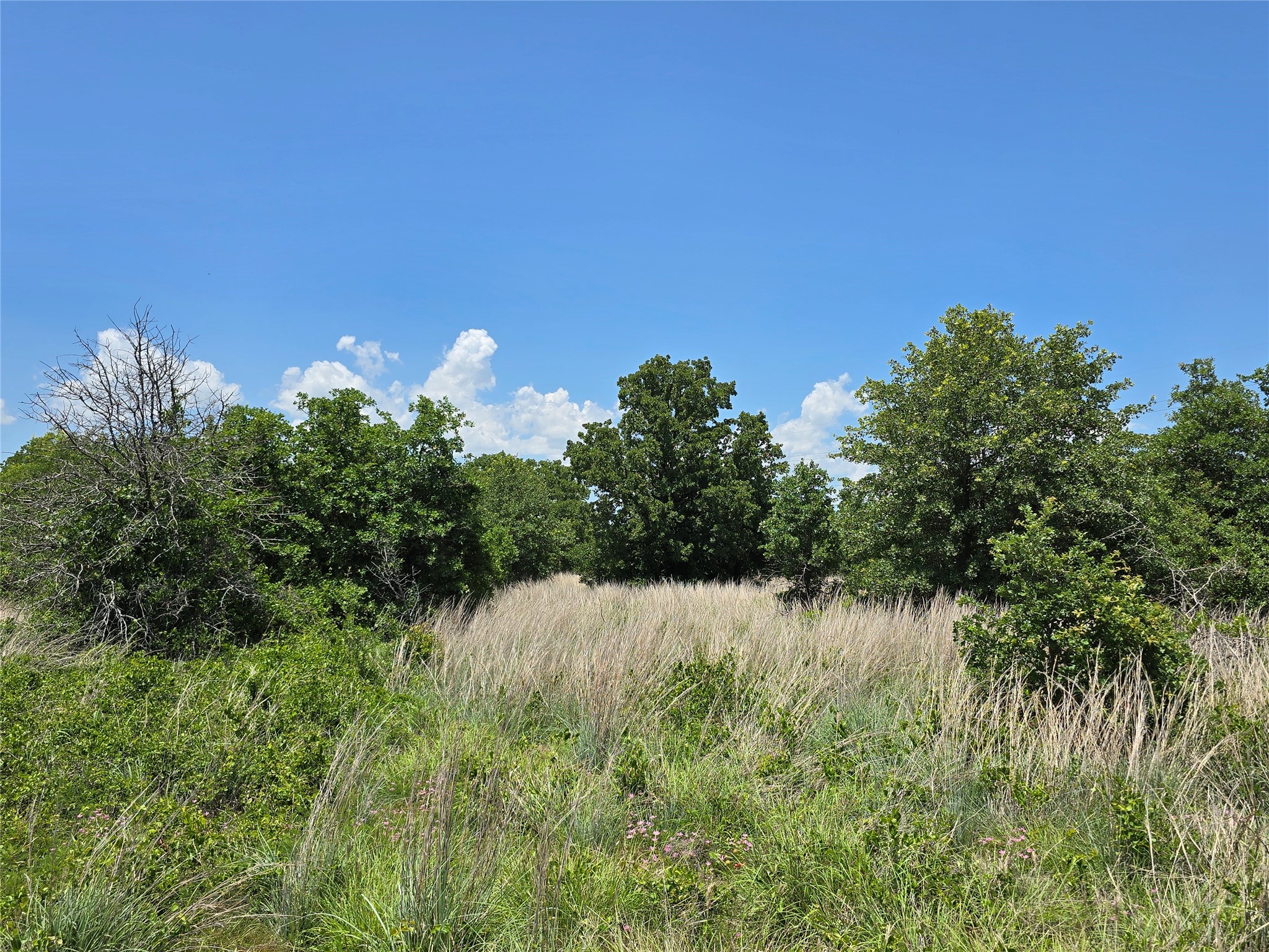 1750 County Road 173