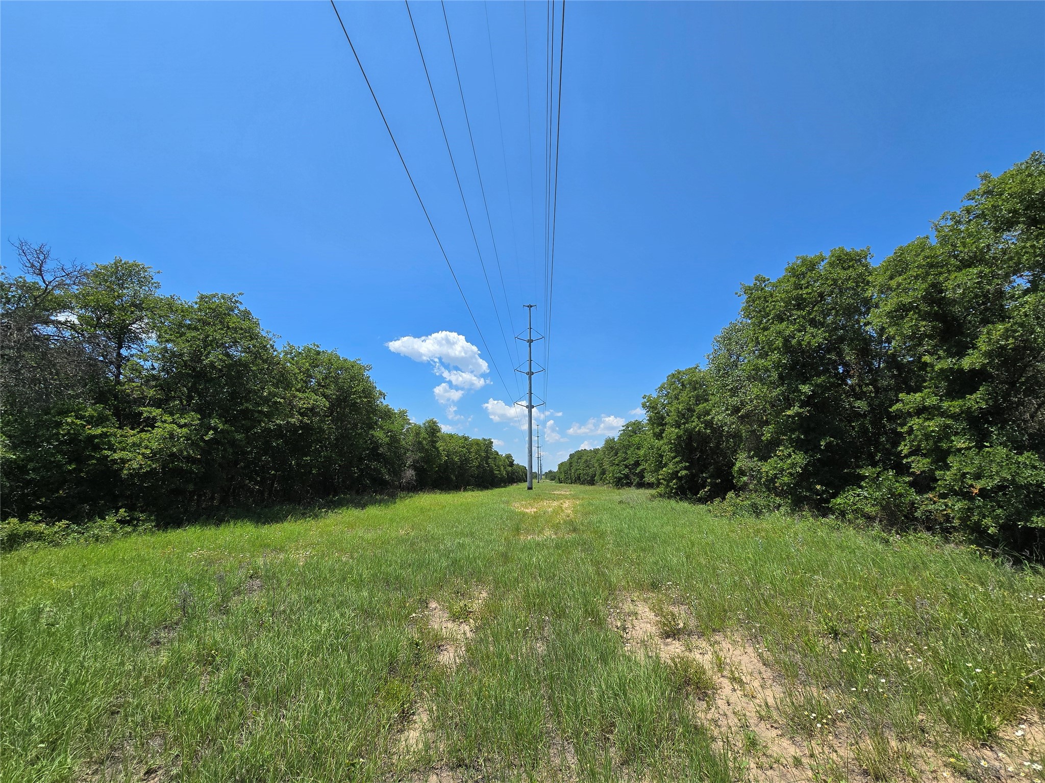 1750 County Road 173