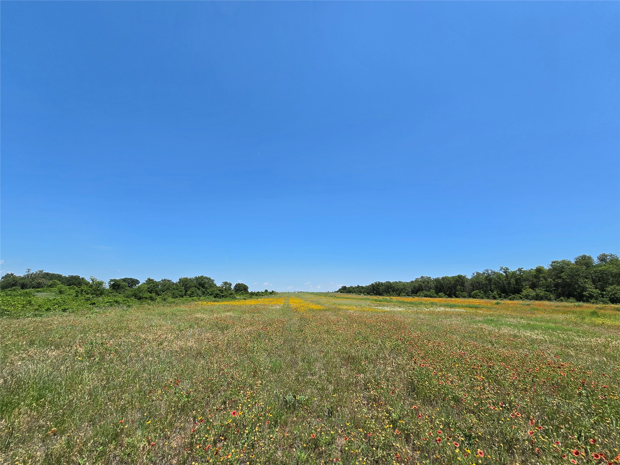 1750 County Road 173